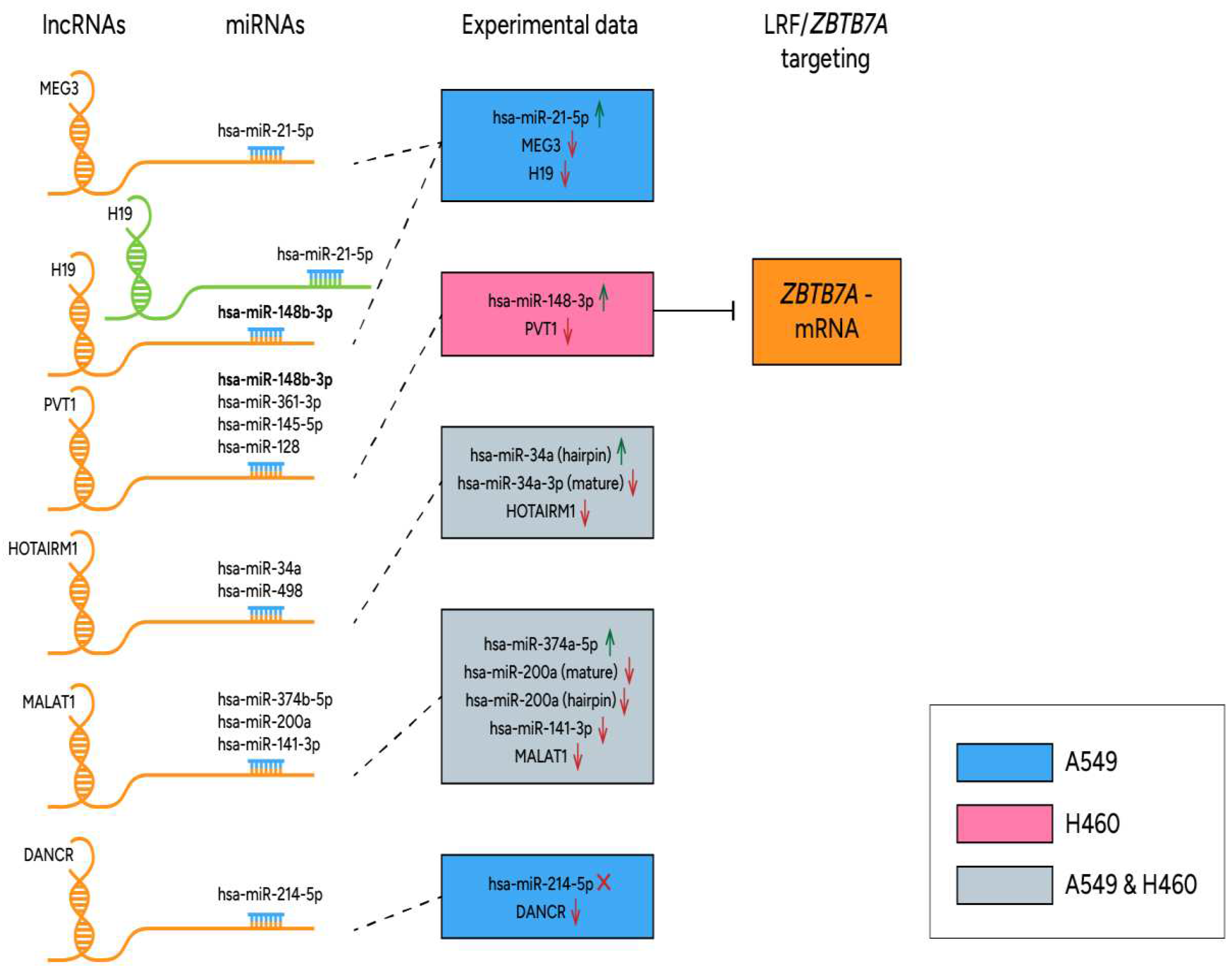 Preprints 88927 g004