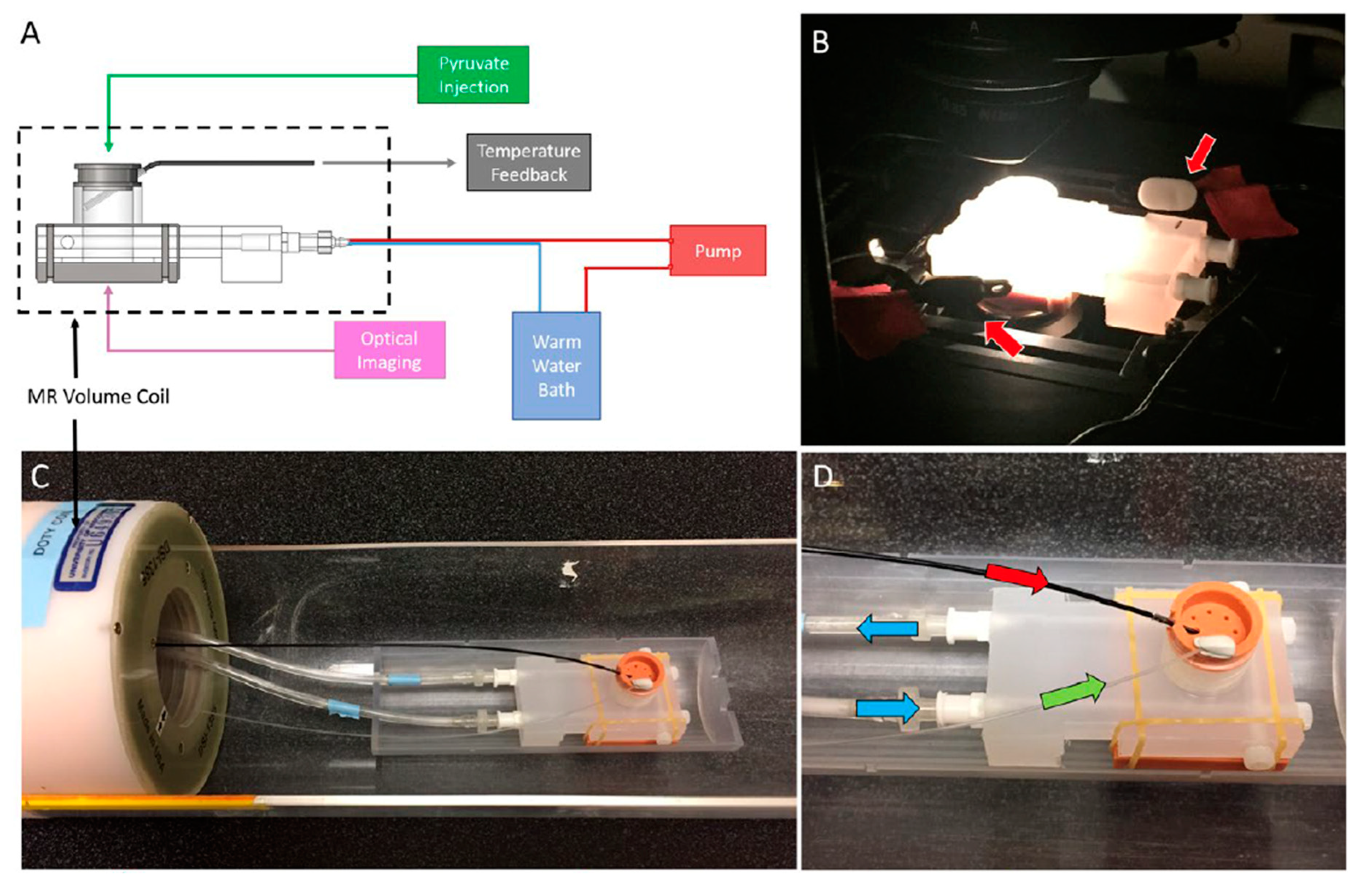 Preprints 119084 g001