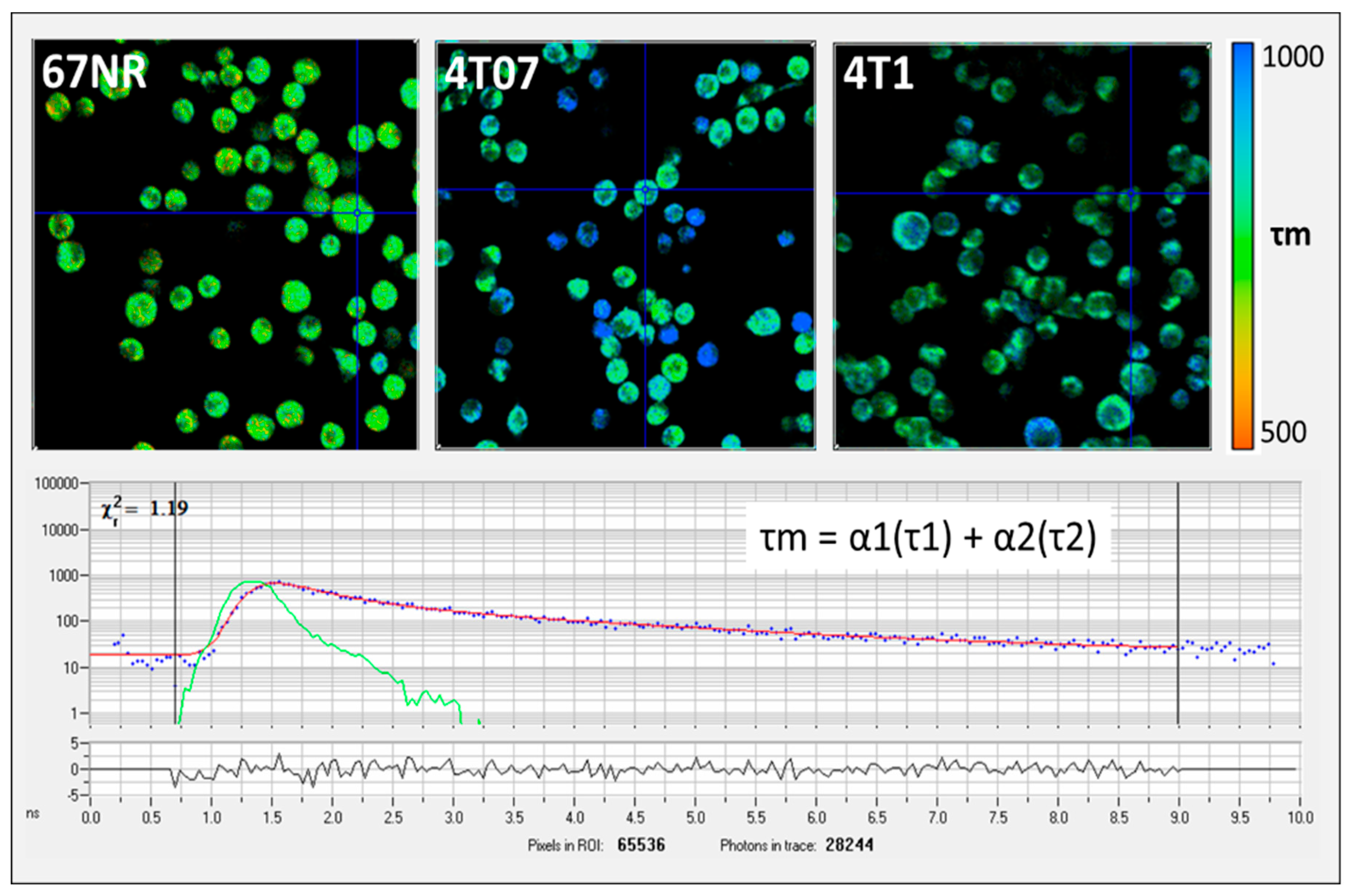 Preprints 119084 g002