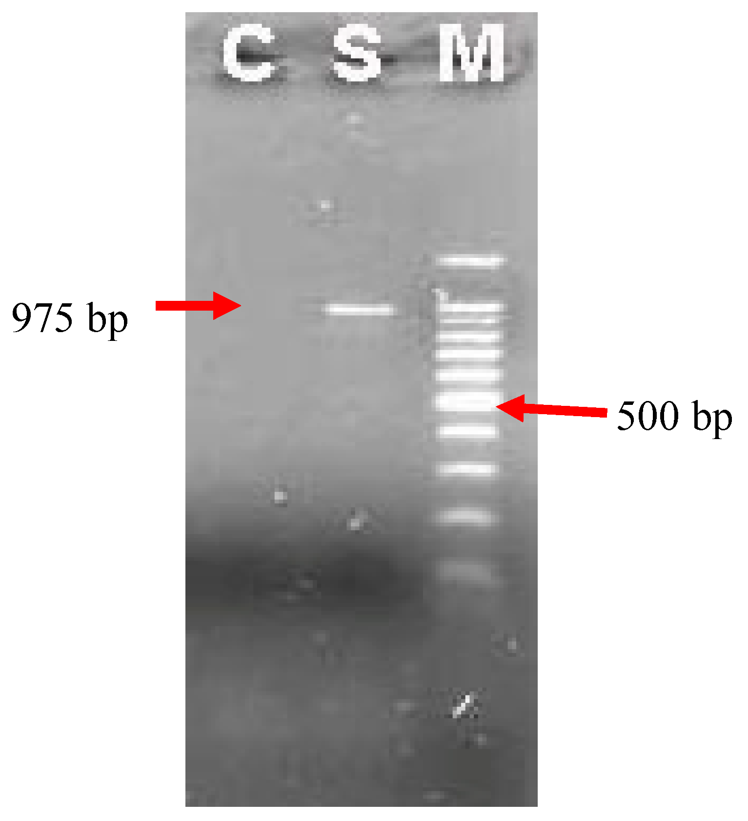 Preprints 66974 g003