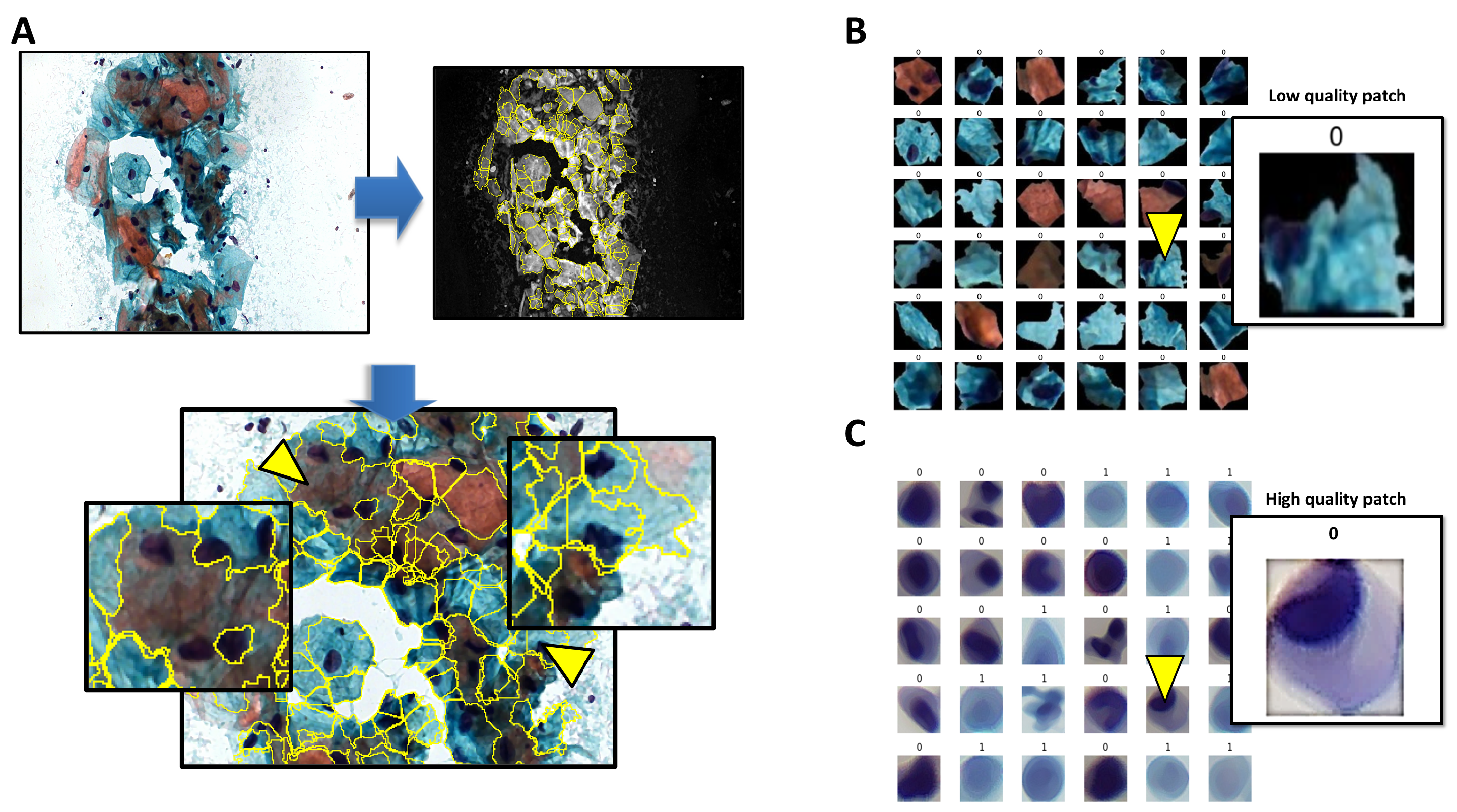 Preprints 120346 g001