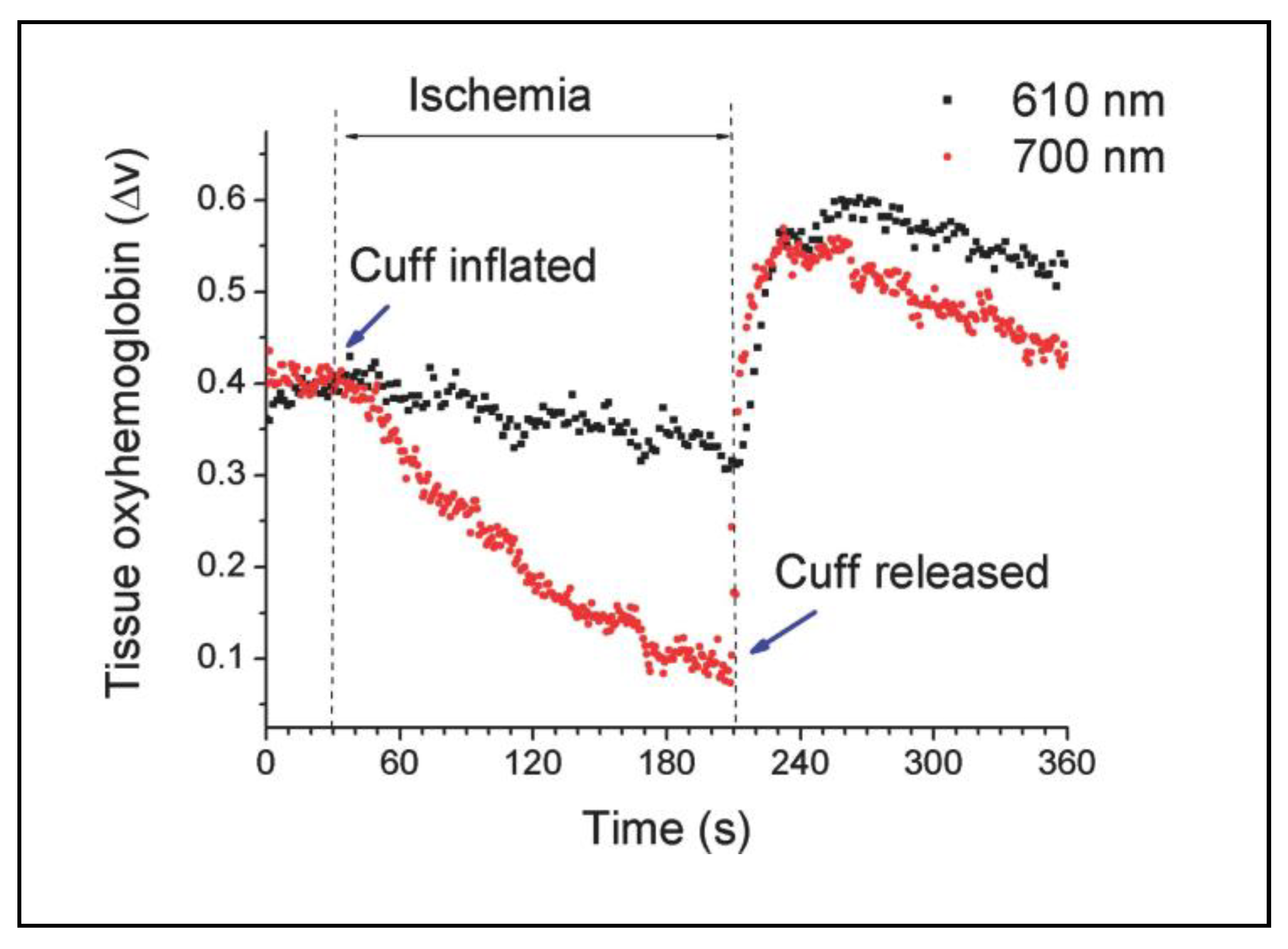 Preprints 90443 g003