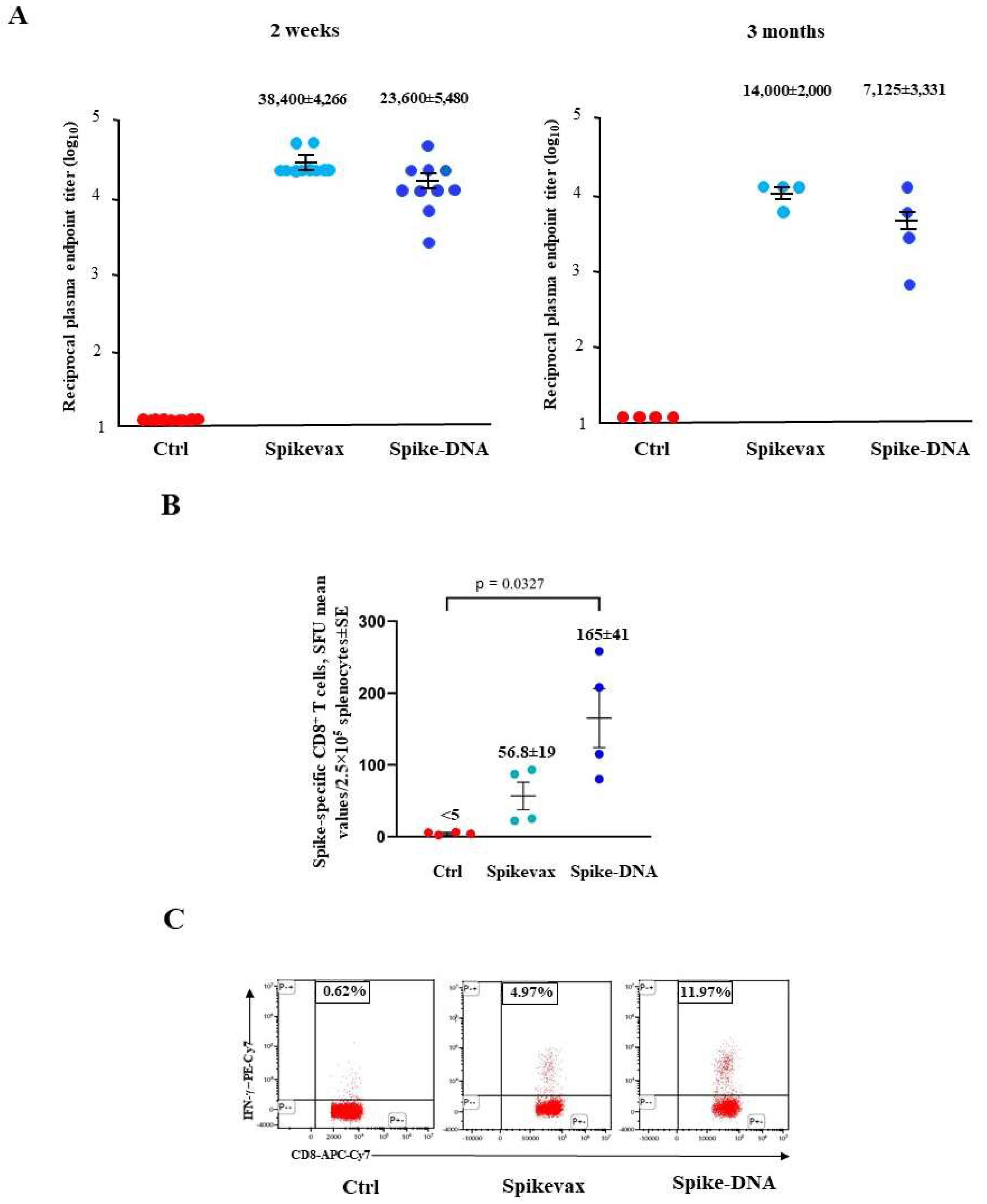 Preprints 80931 g004