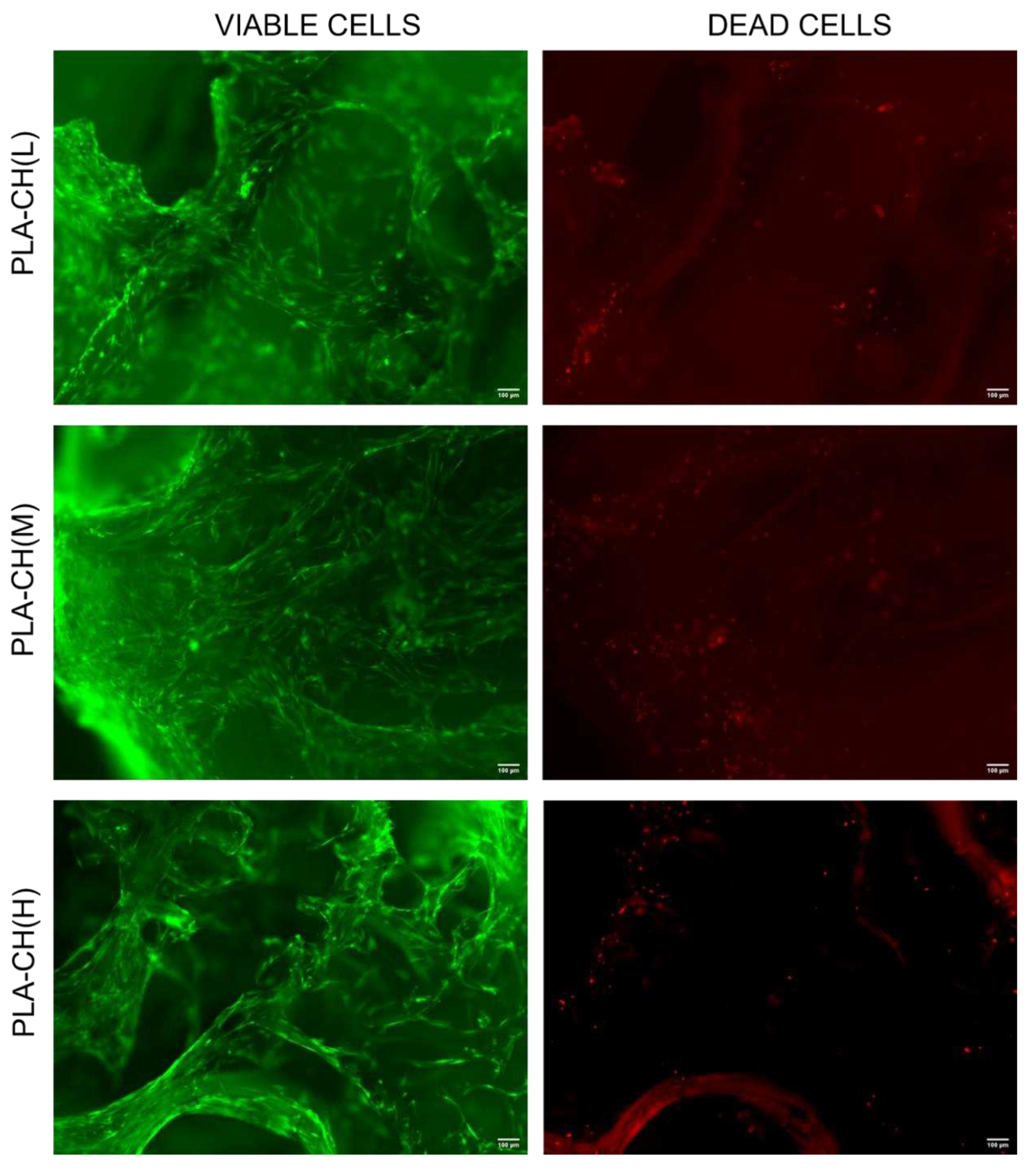 Preprints 91209 g008