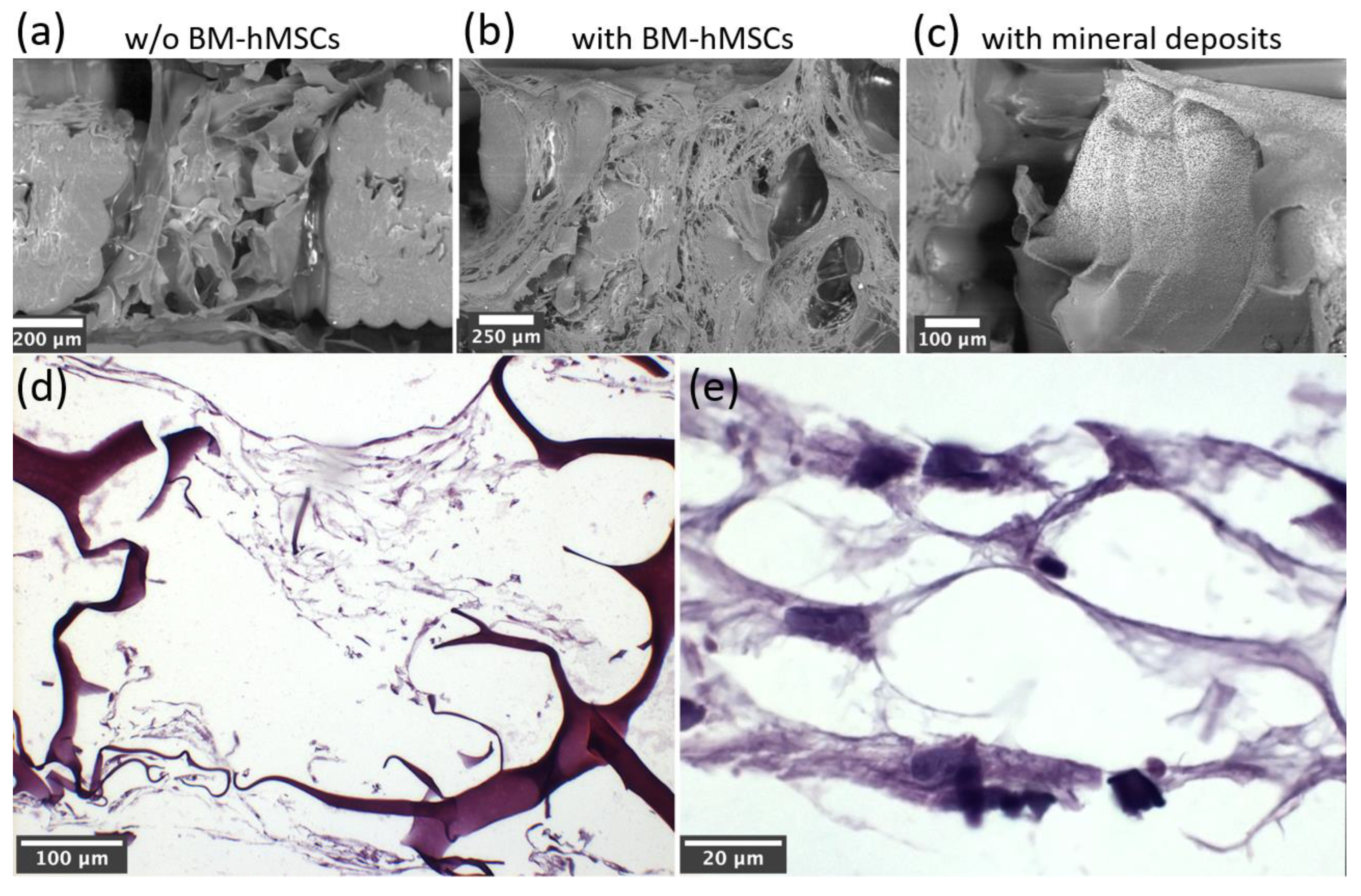 Preprints 91209 g010