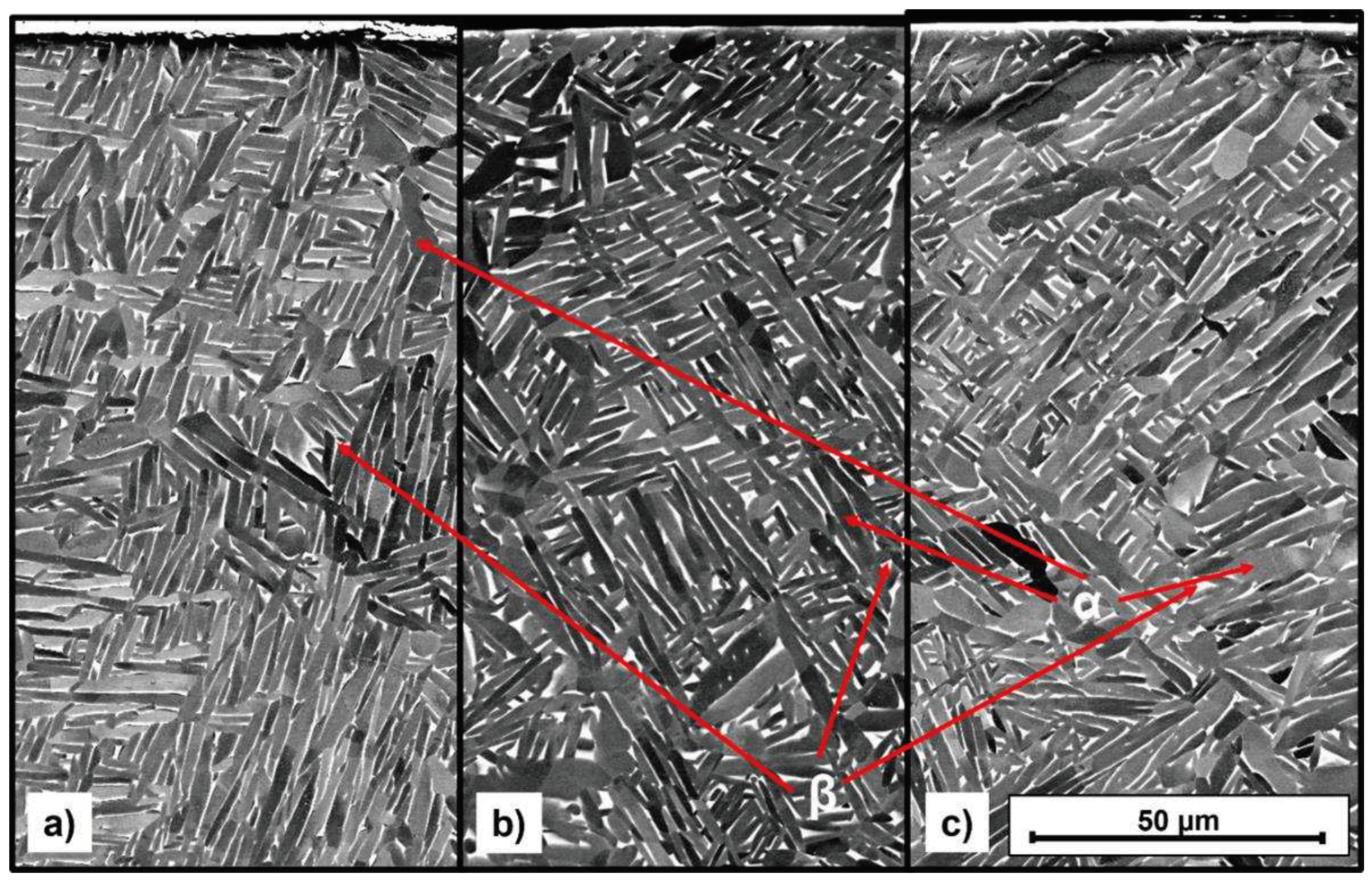 Preprints 96257 g008