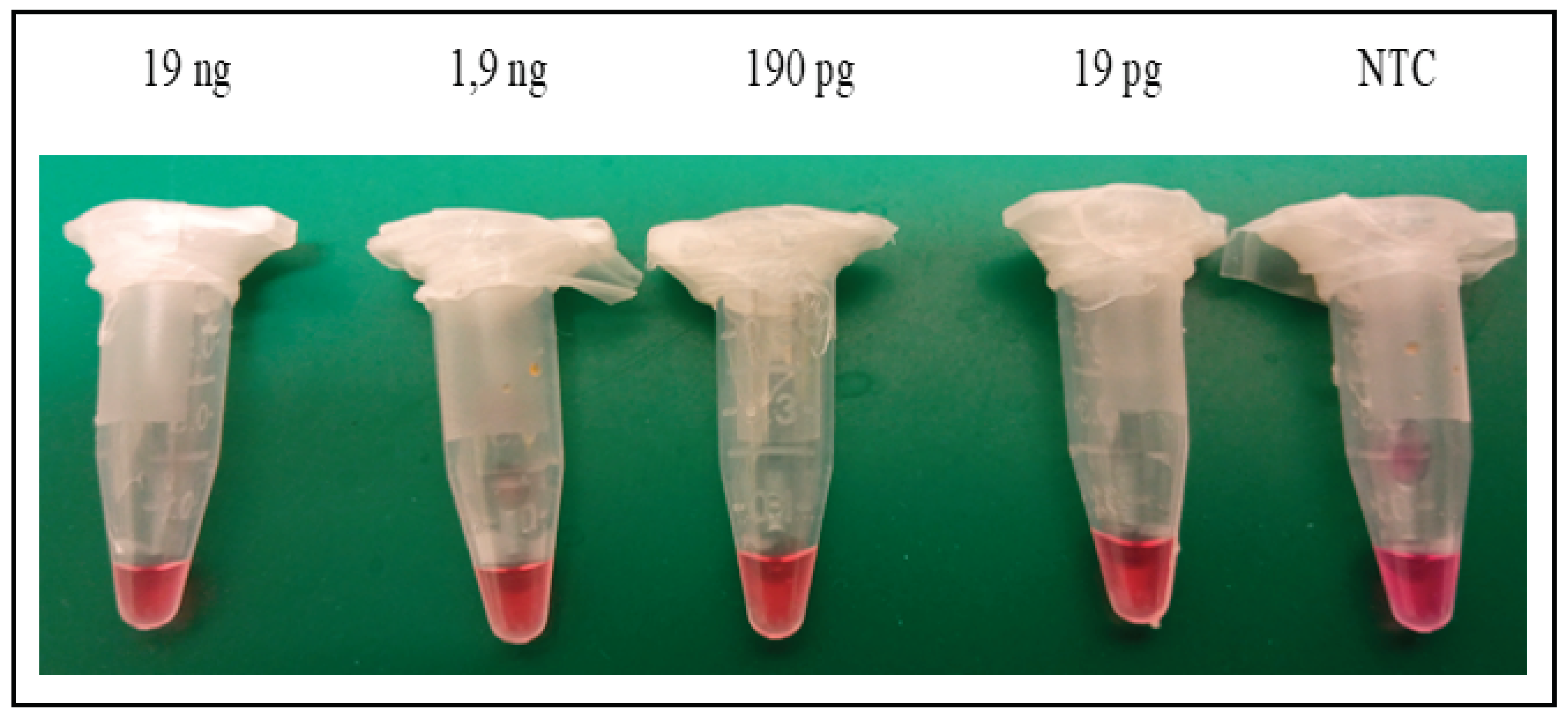 Preprints 100293 g002a