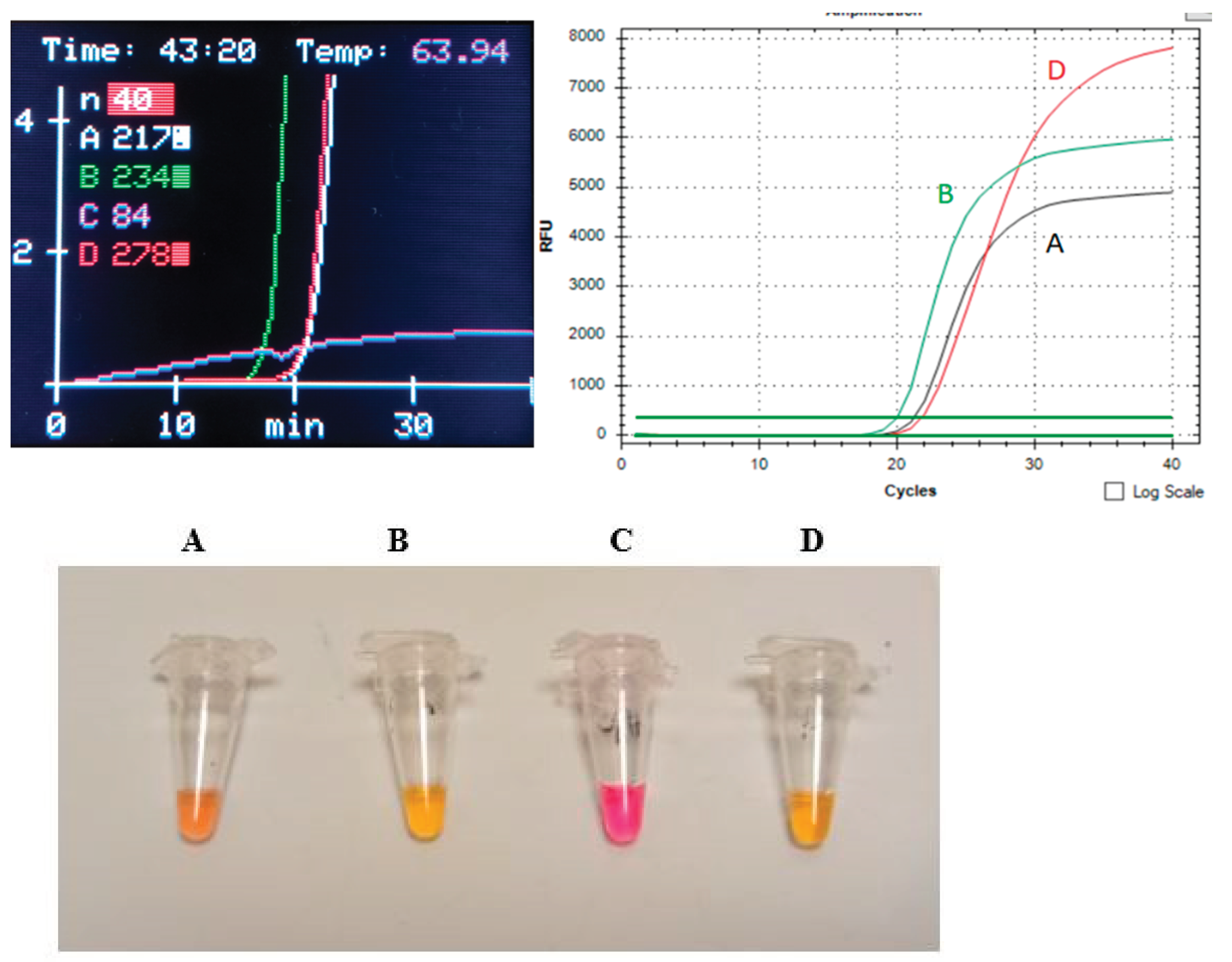 Preprints 100293 g004