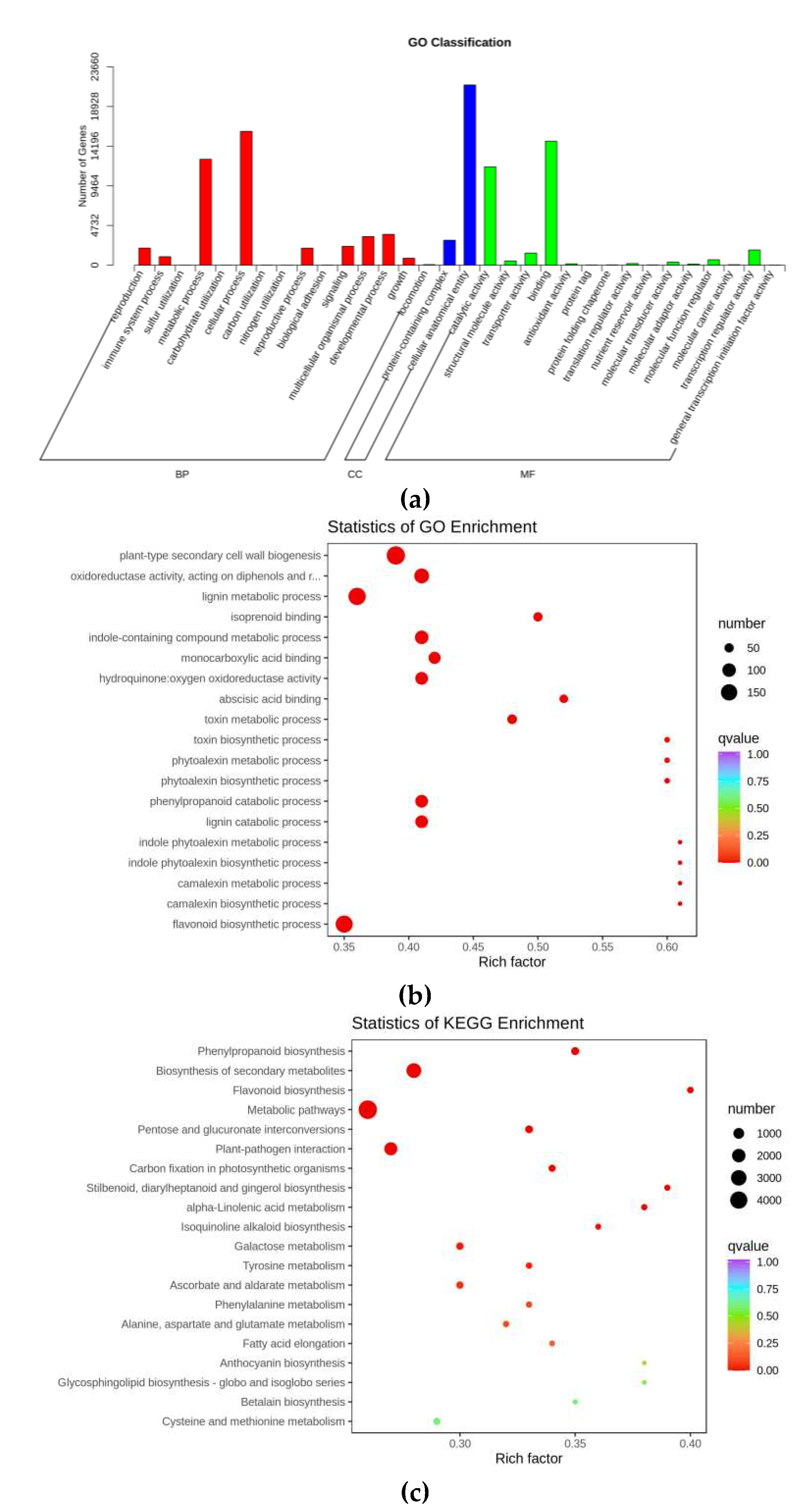 Preprints 80841 g001