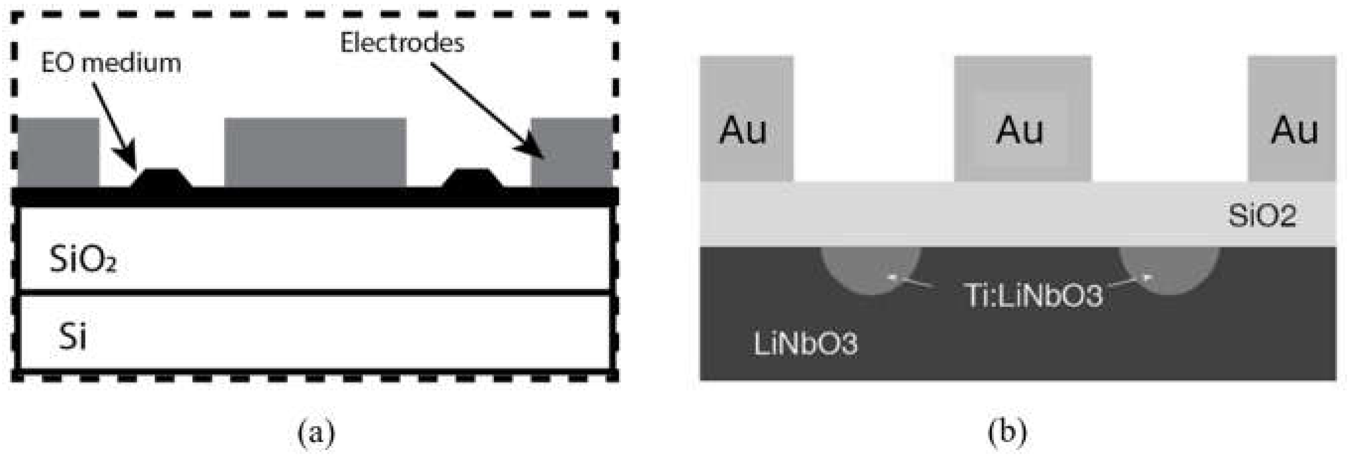 Preprints 102711 g001