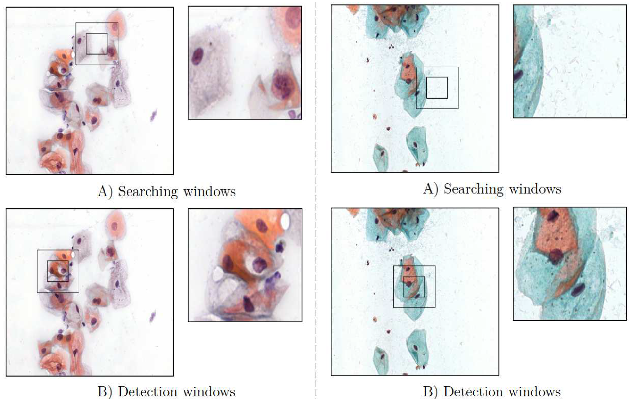 Preprints 88450 g004