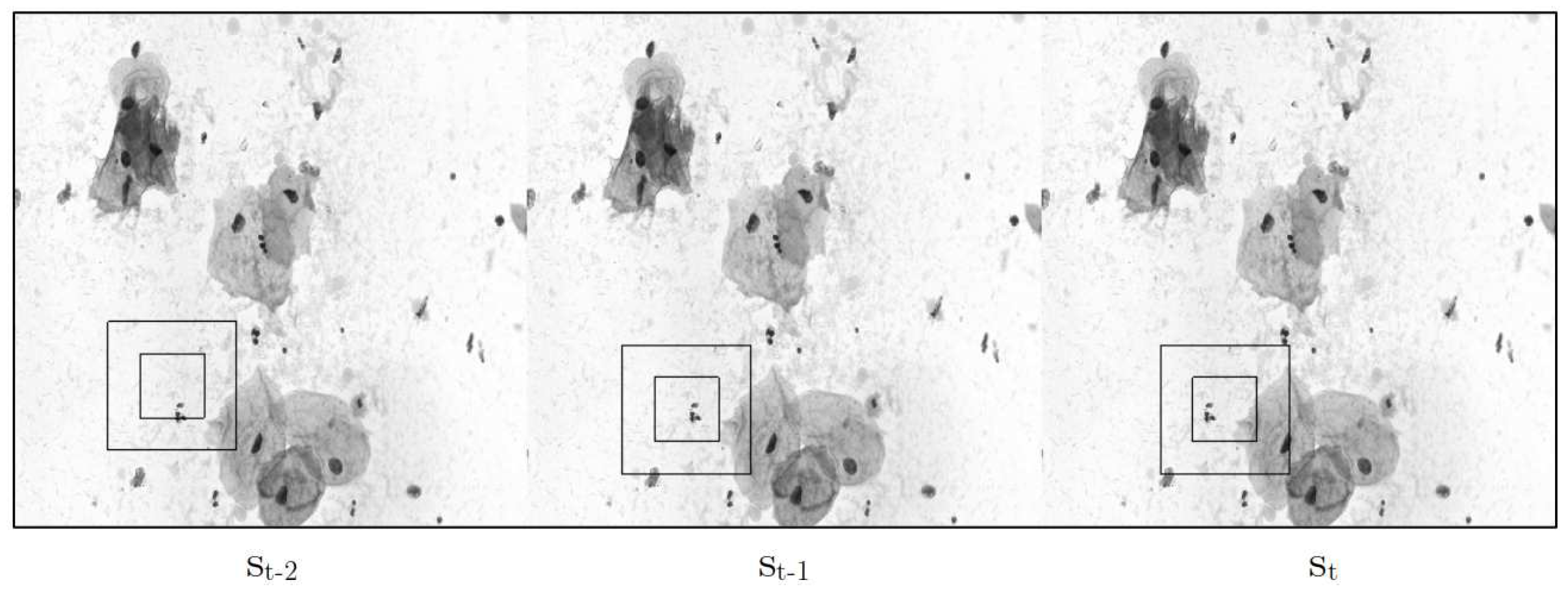 Preprints 88450 g005