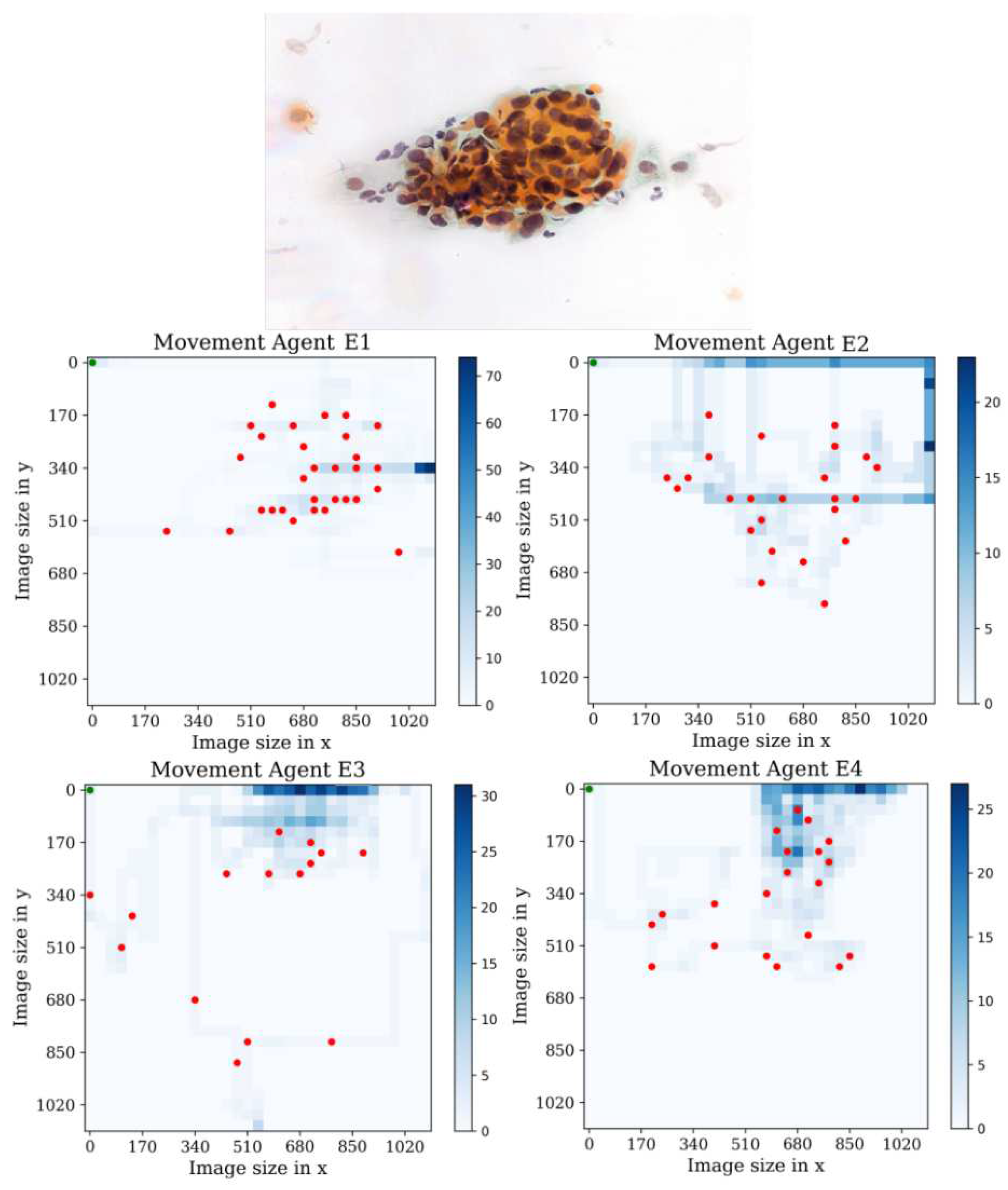 Preprints 88450 g017