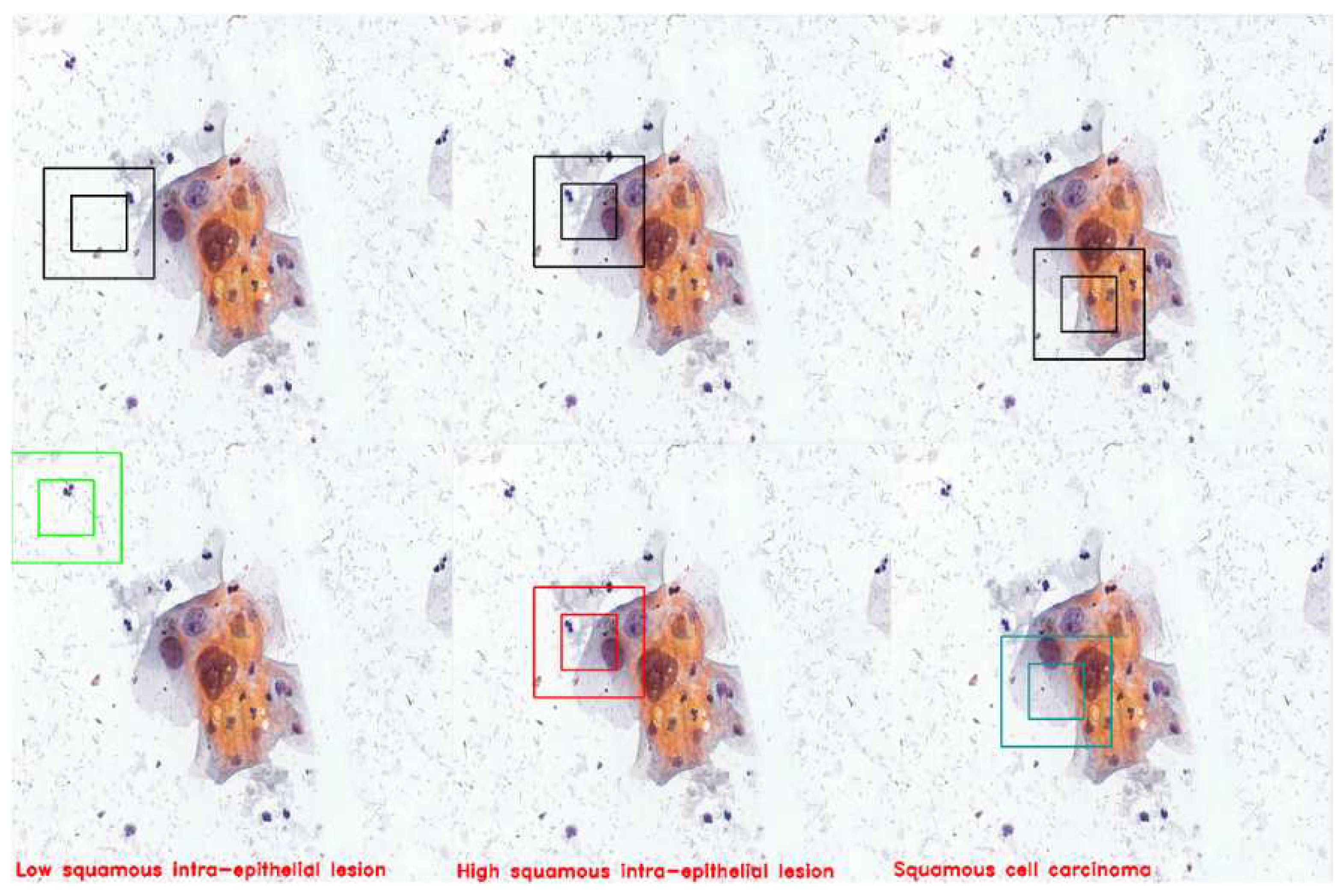 Preprints 88450 g020