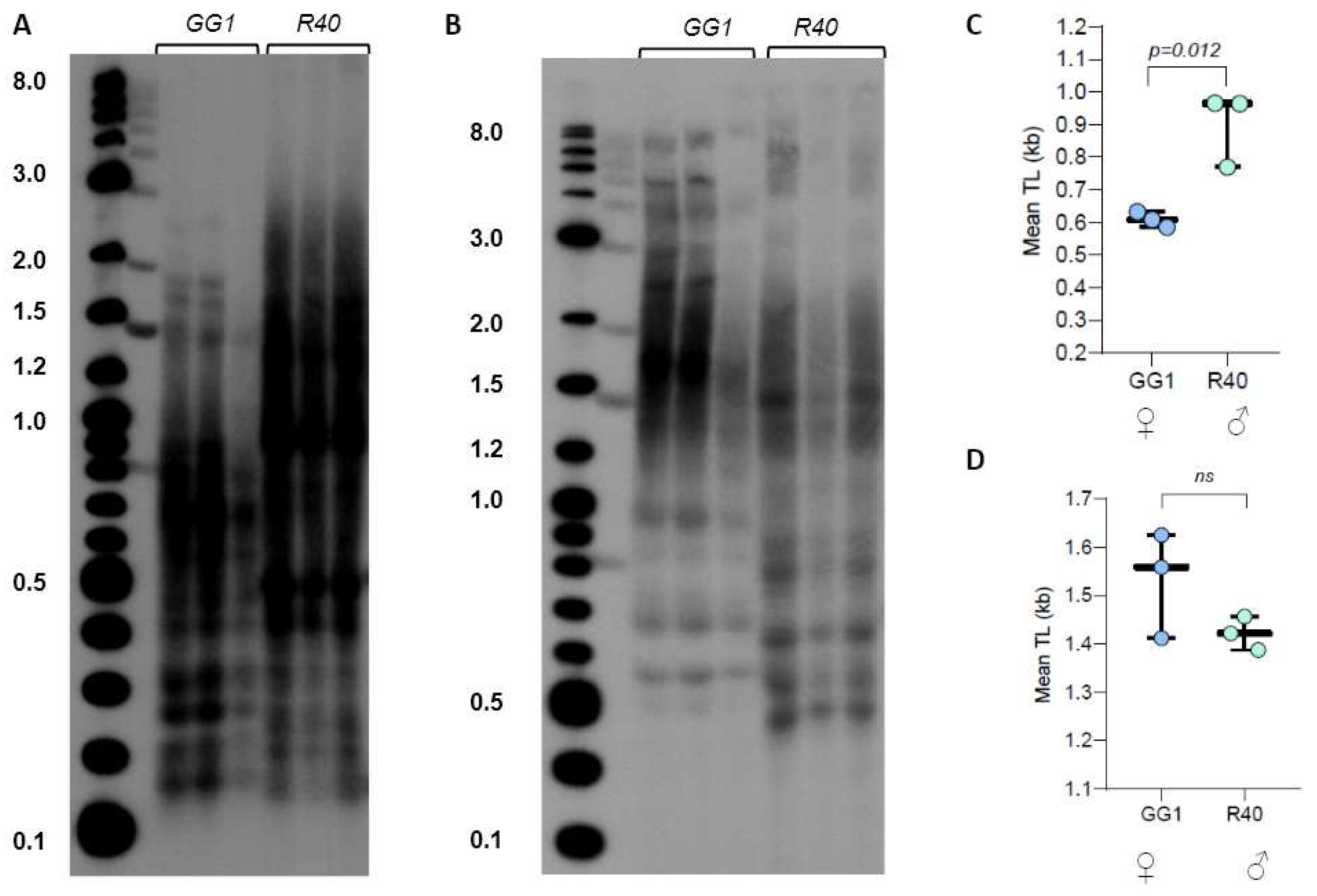 Preprints 92258 g003