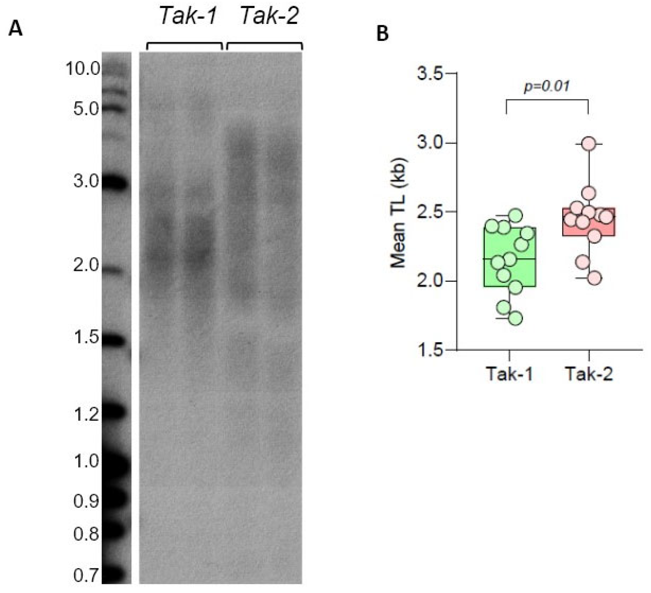 Preprints 92258 g004