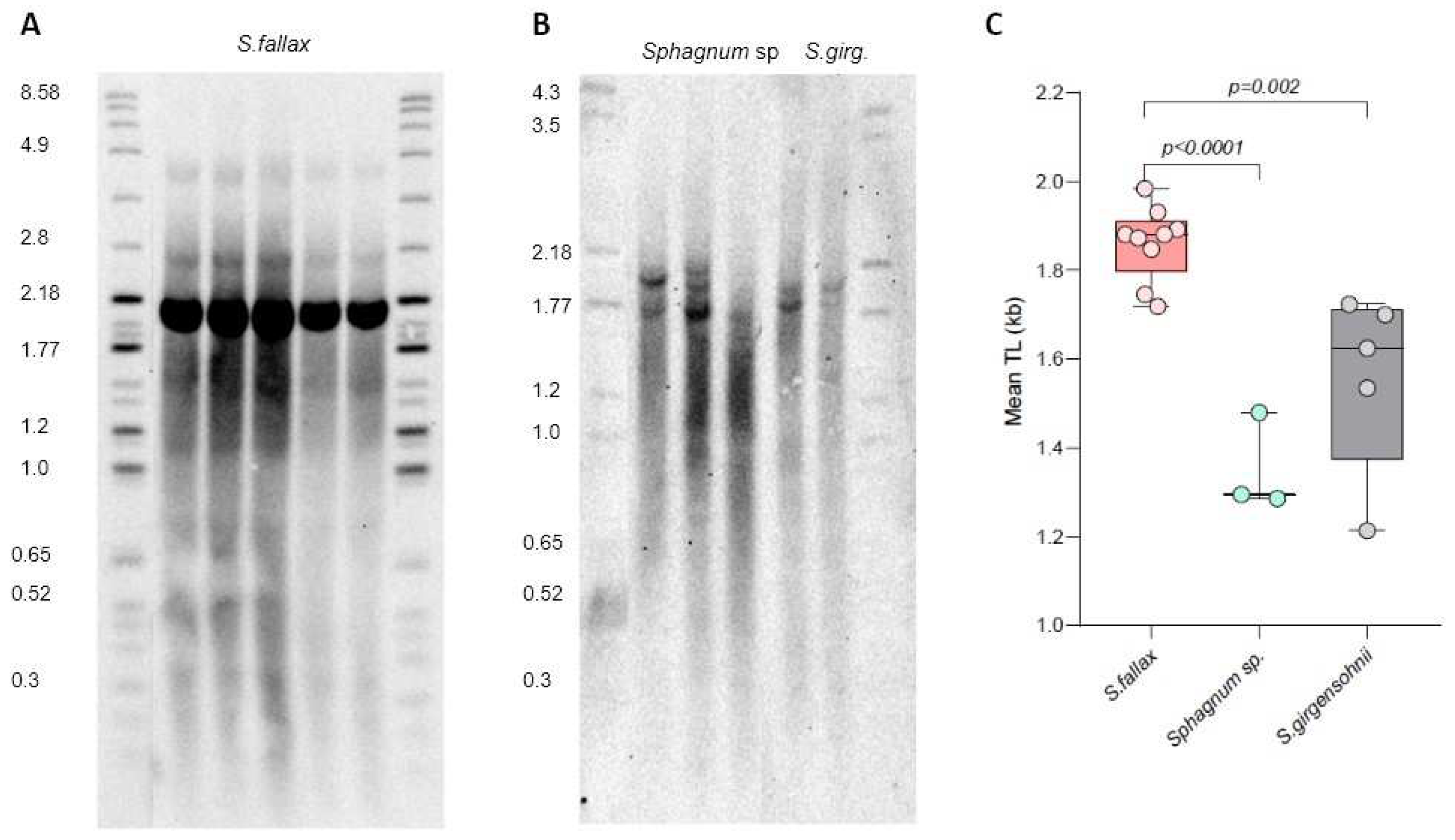 Preprints 92258 g005