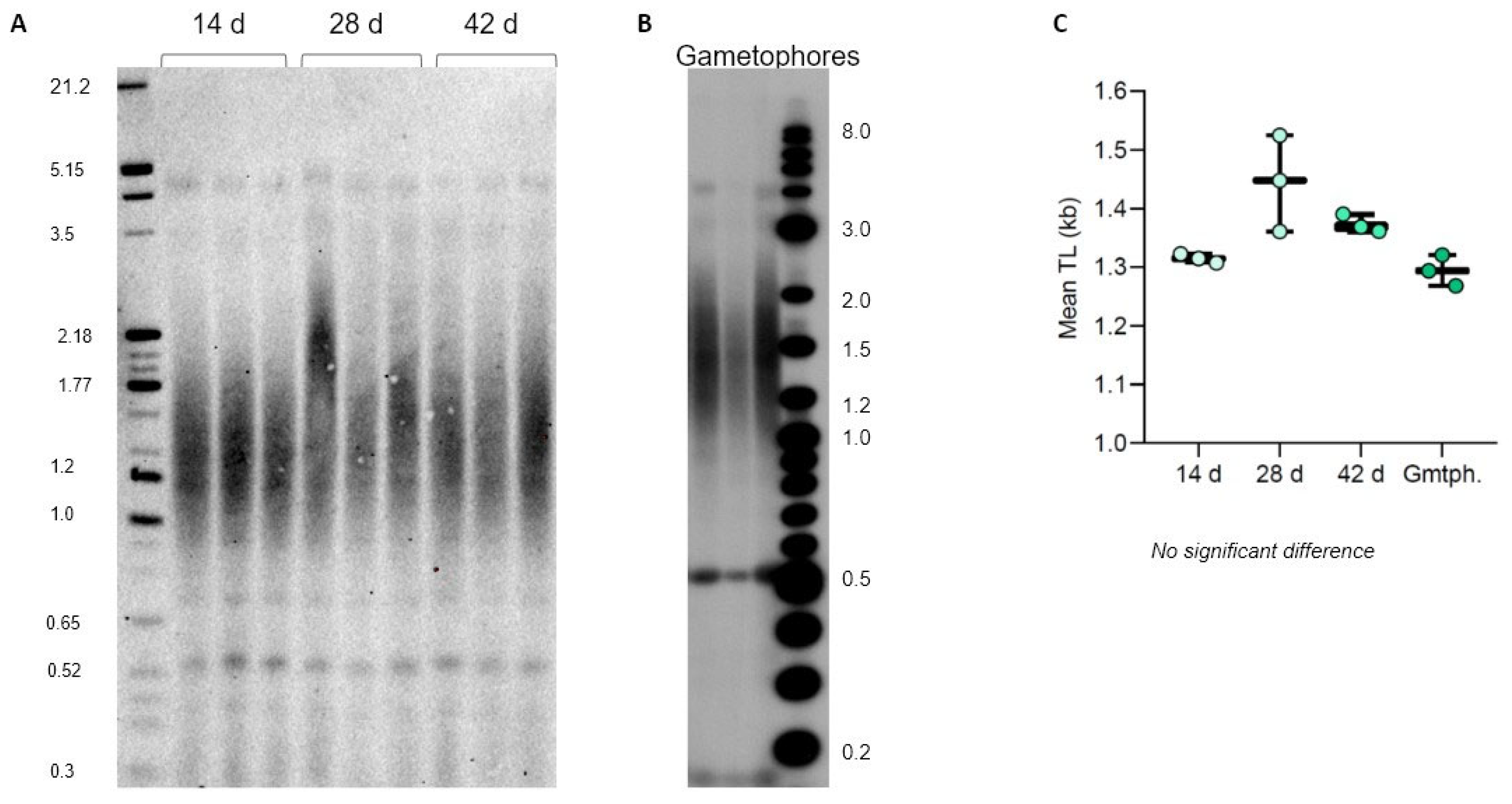 Preprints 92258 g006