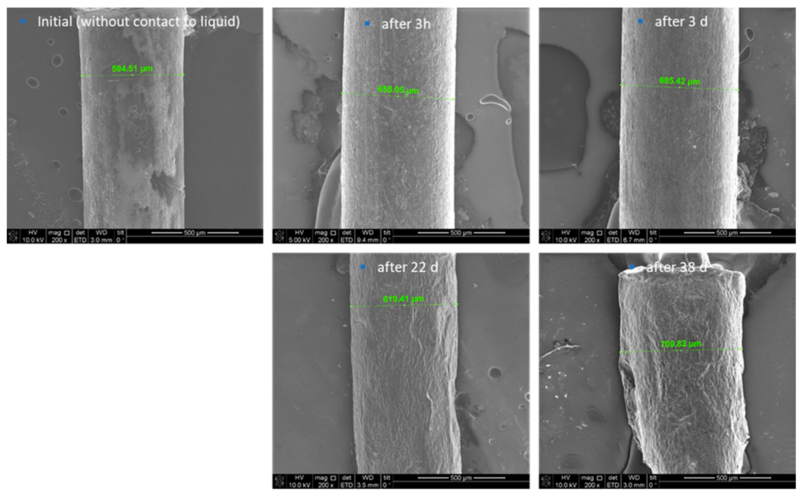 Preprints 117248 g002