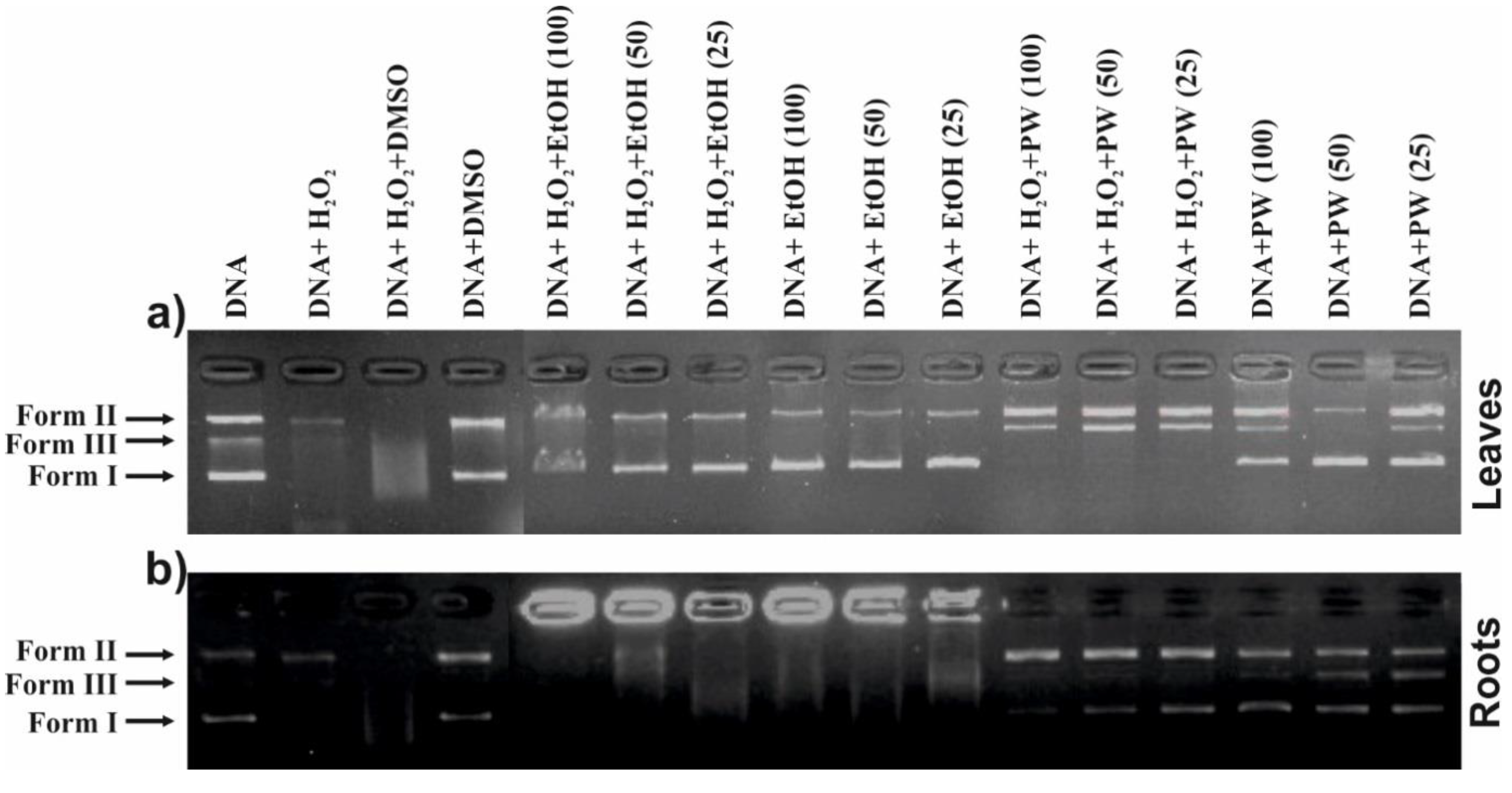 Preprints 89883 g002