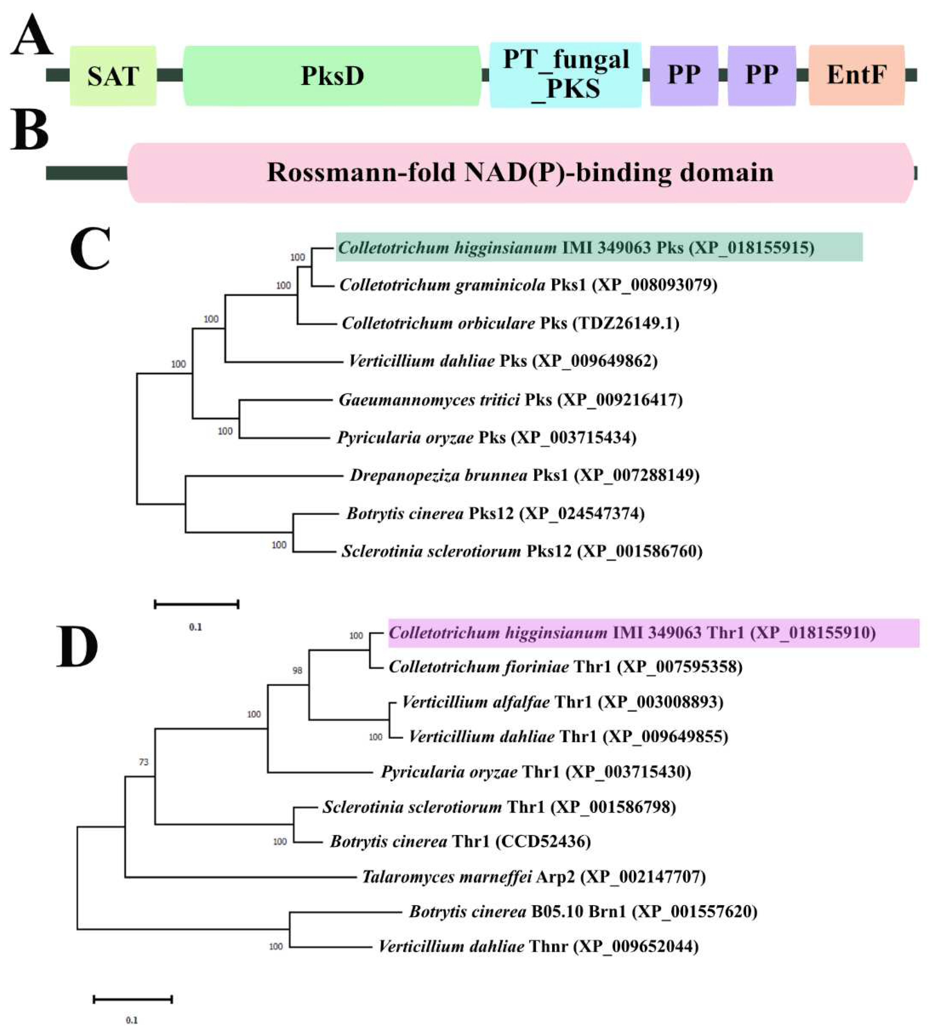 Preprints 86810 g001