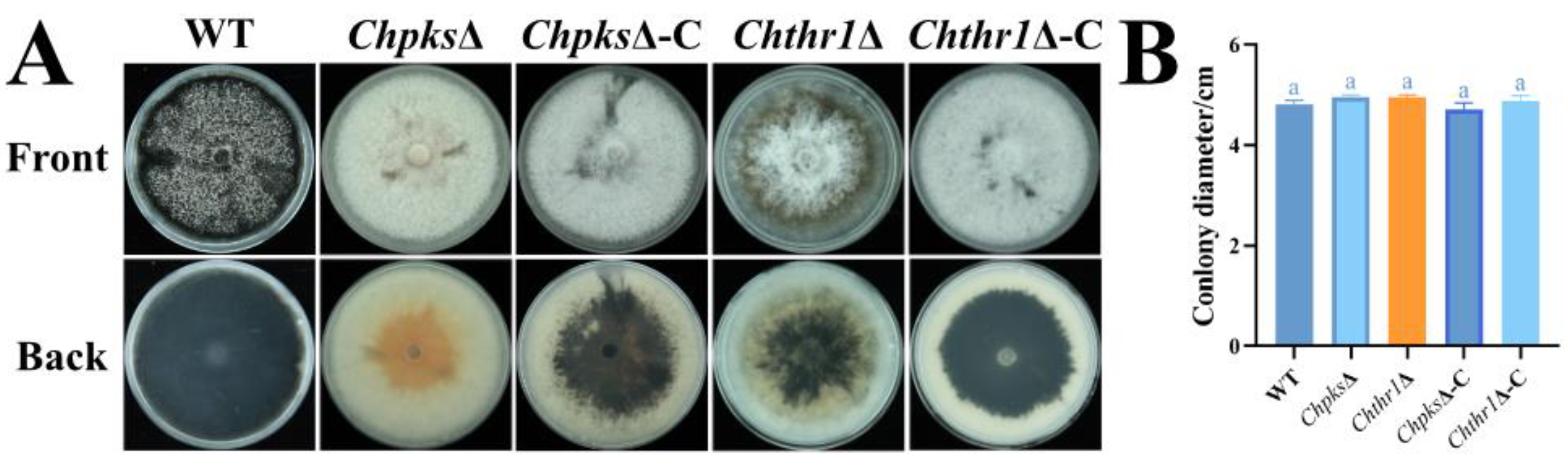 Preprints 86810 g003