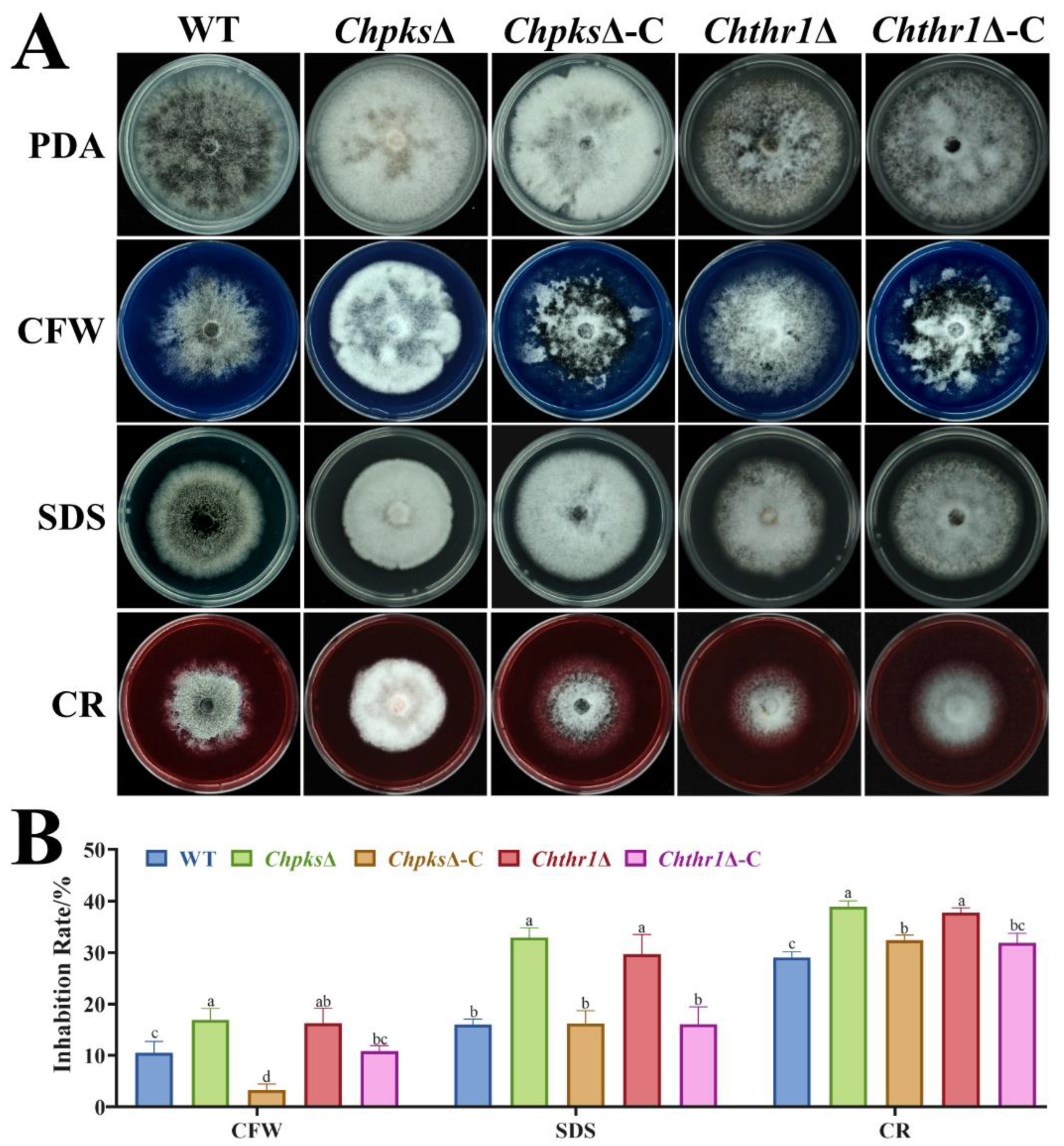 Preprints 86810 g005