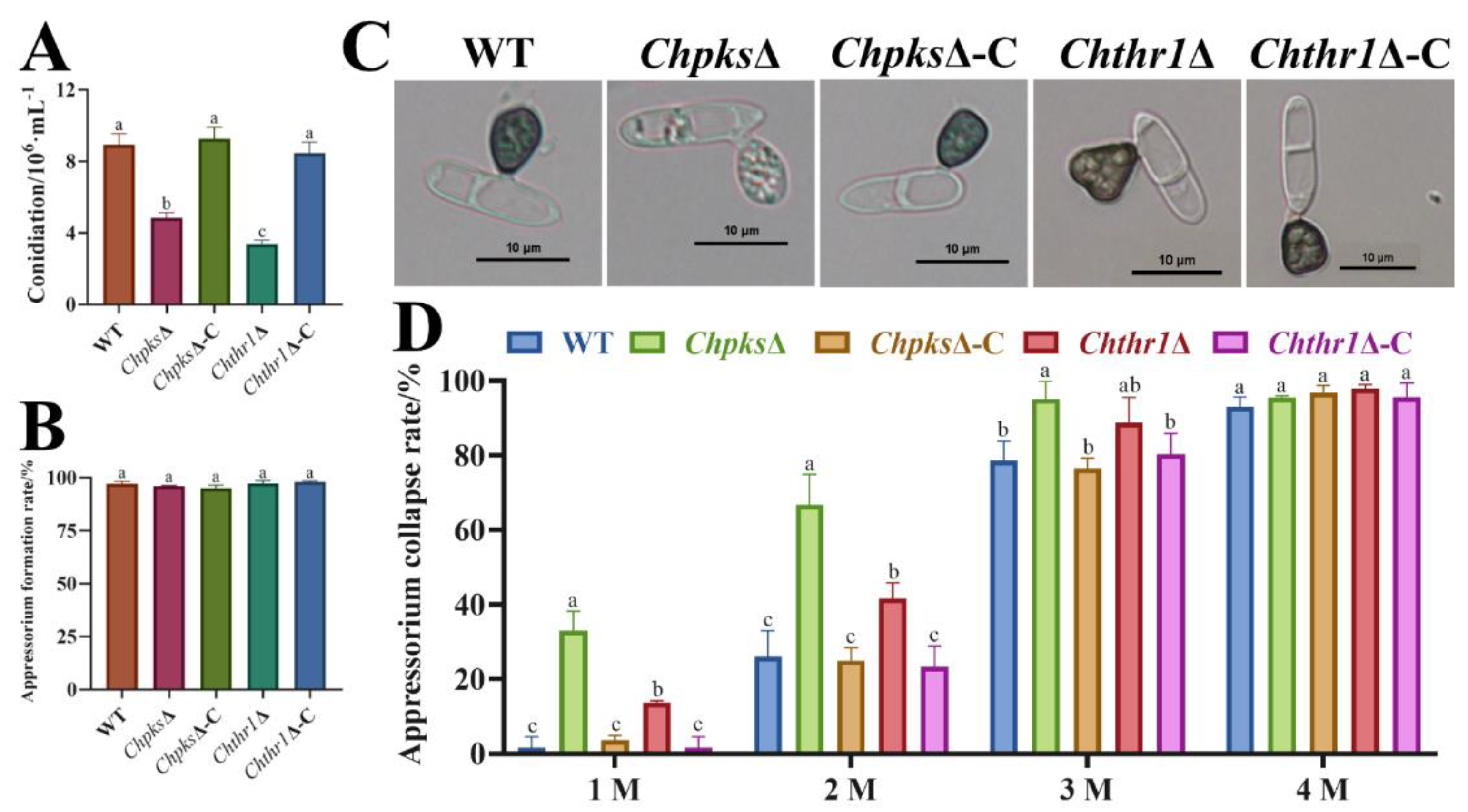 Preprints 86810 g006