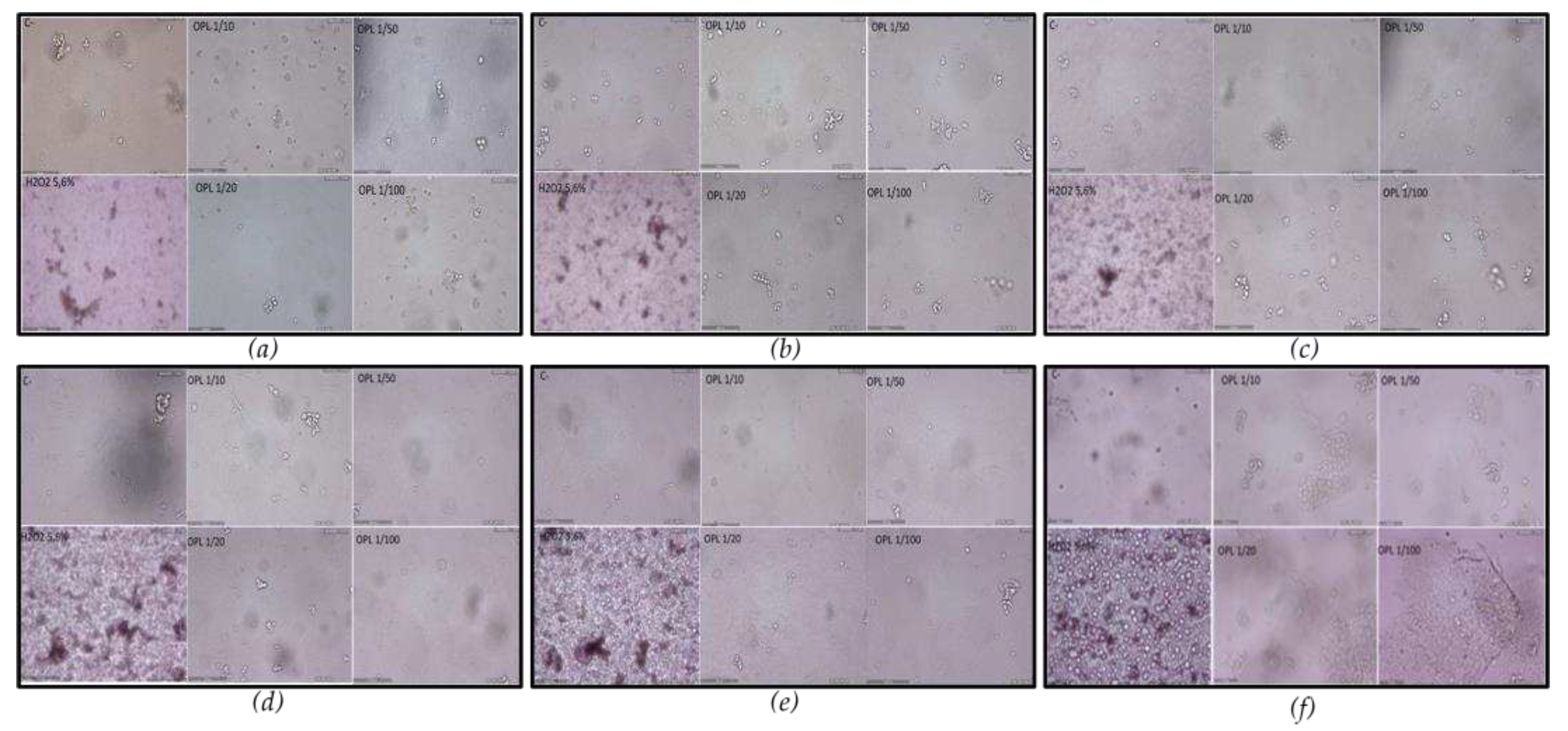 Preprints 96730 g005