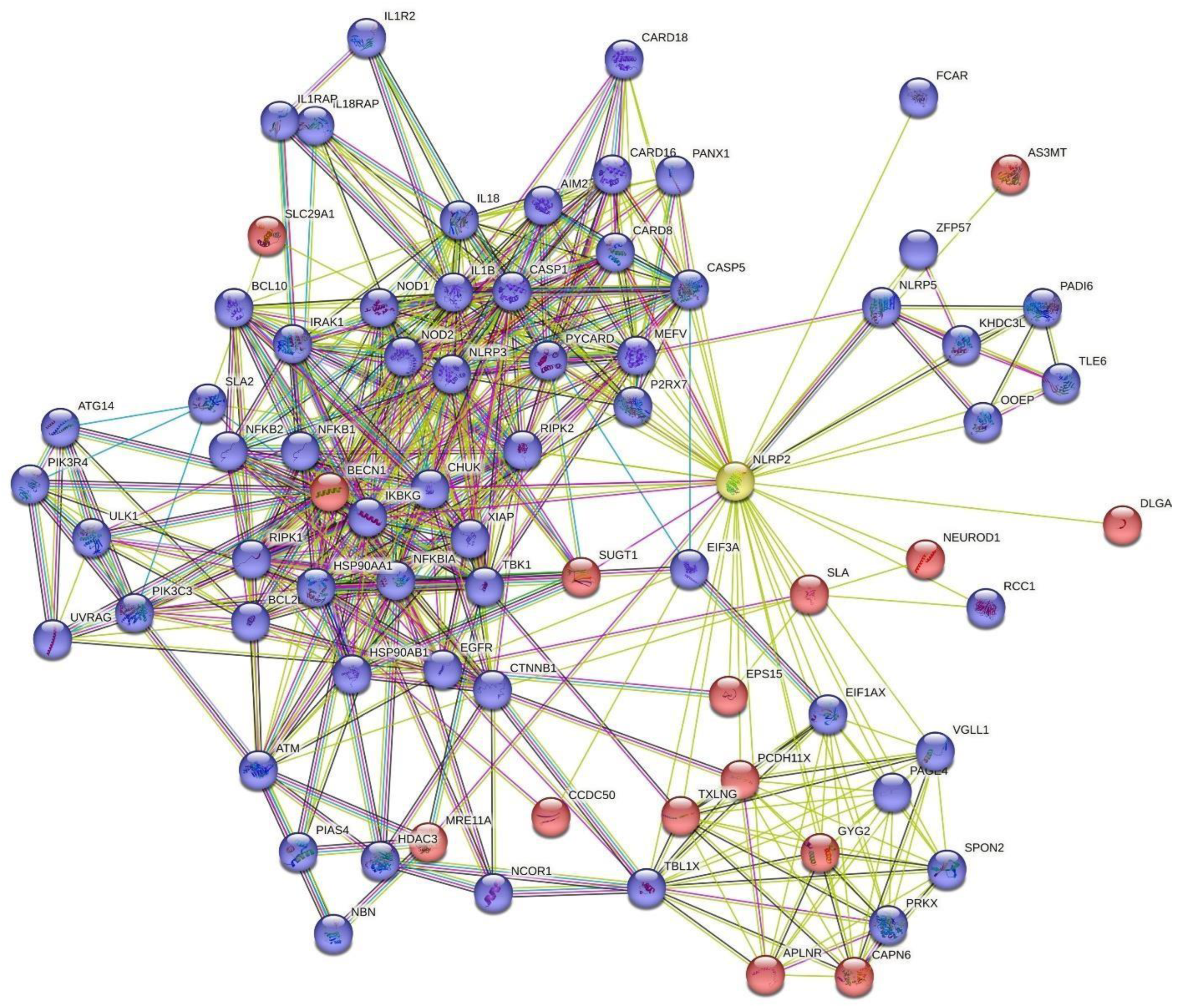 Preprints 90282 g003