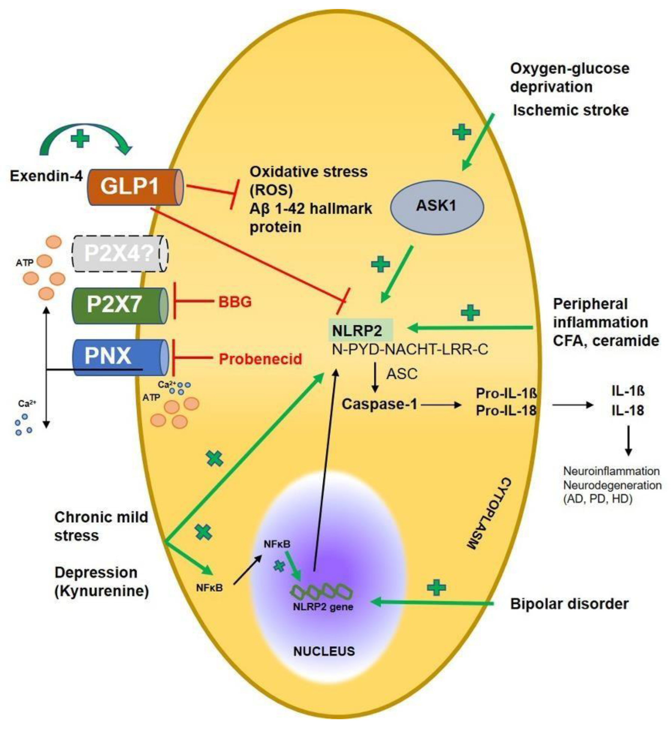 Preprints 90282 g004