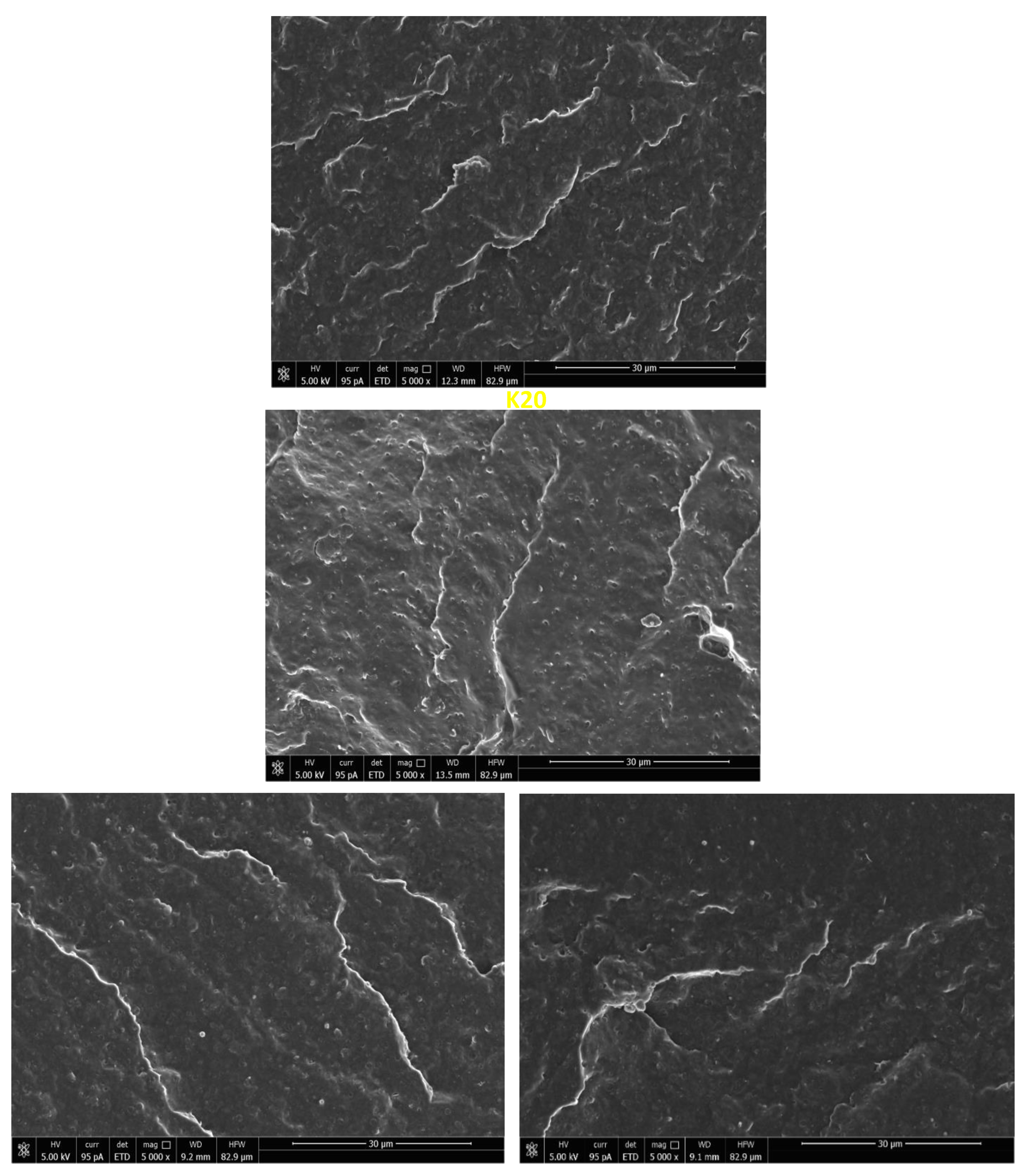 Preprints 89146 g006