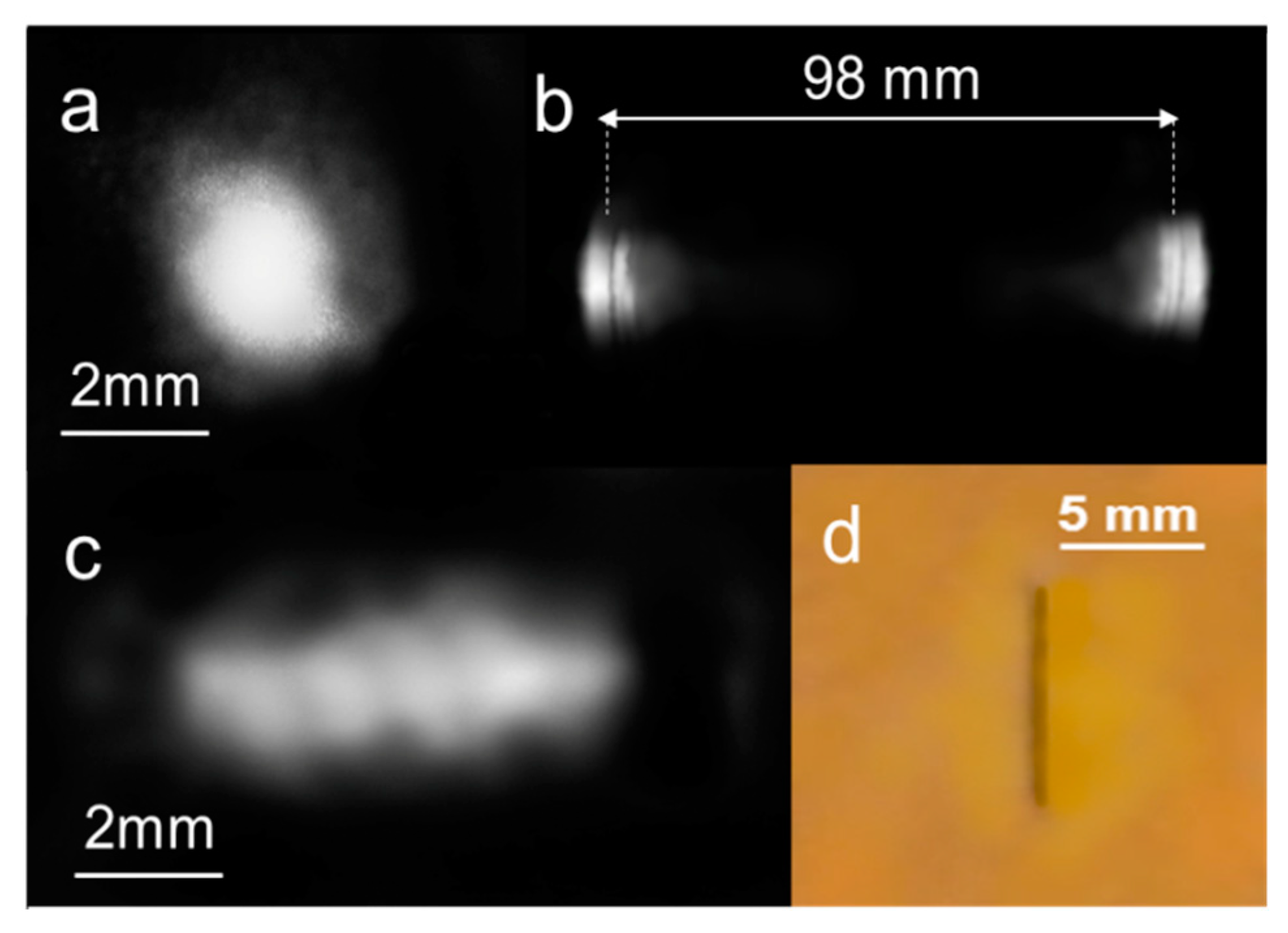 Preprints 85876 g011