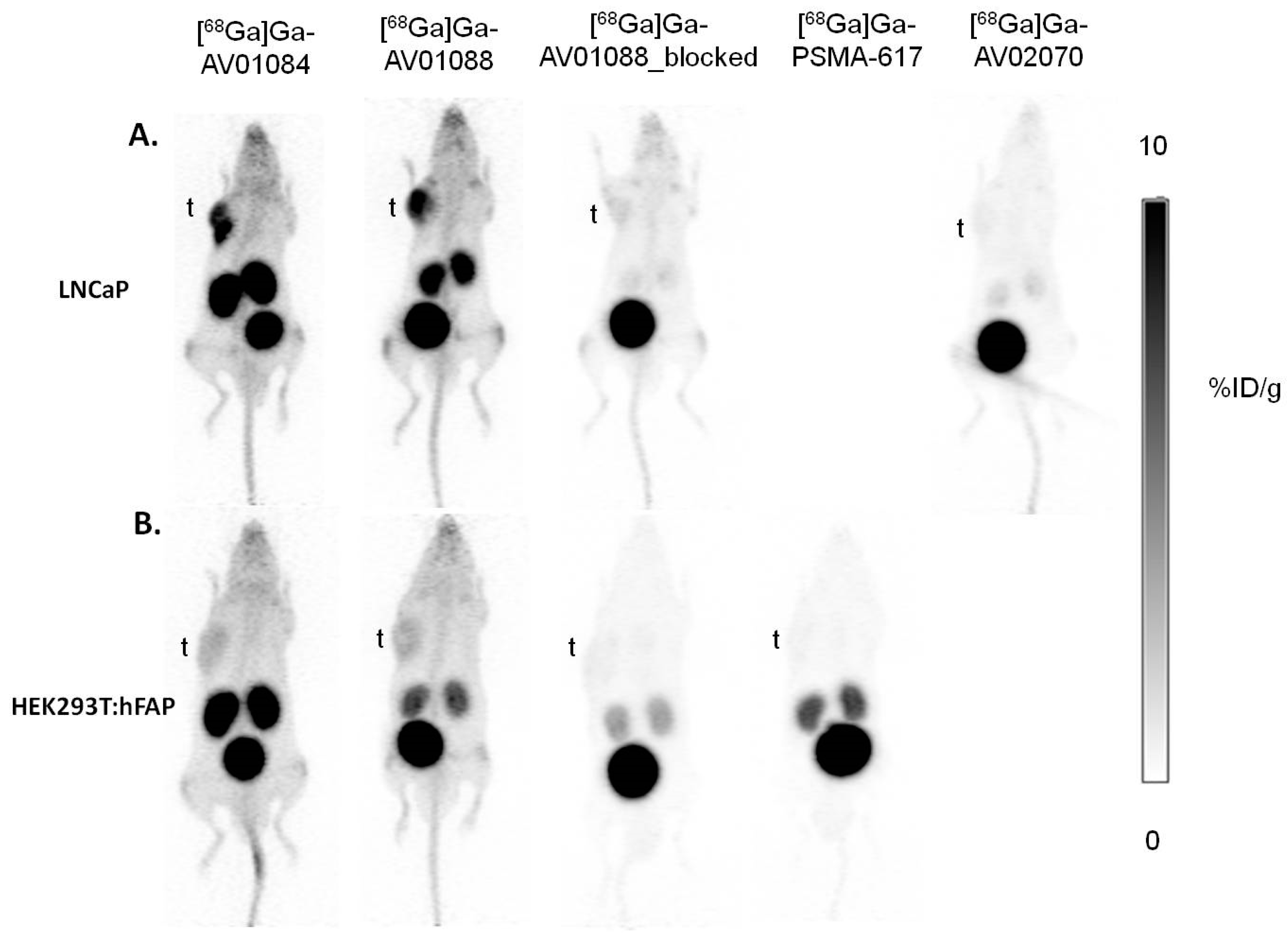 Preprints 90317 g003