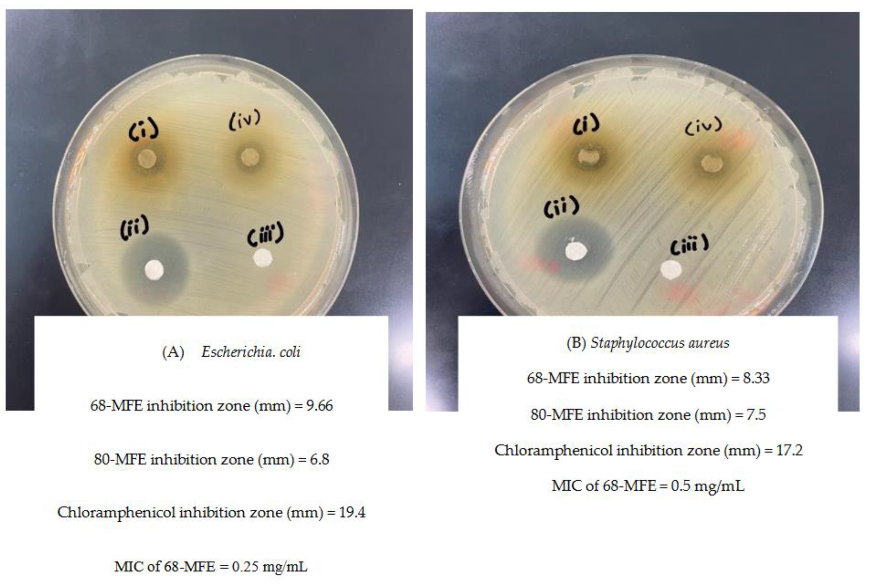 Preprints 111505 g002