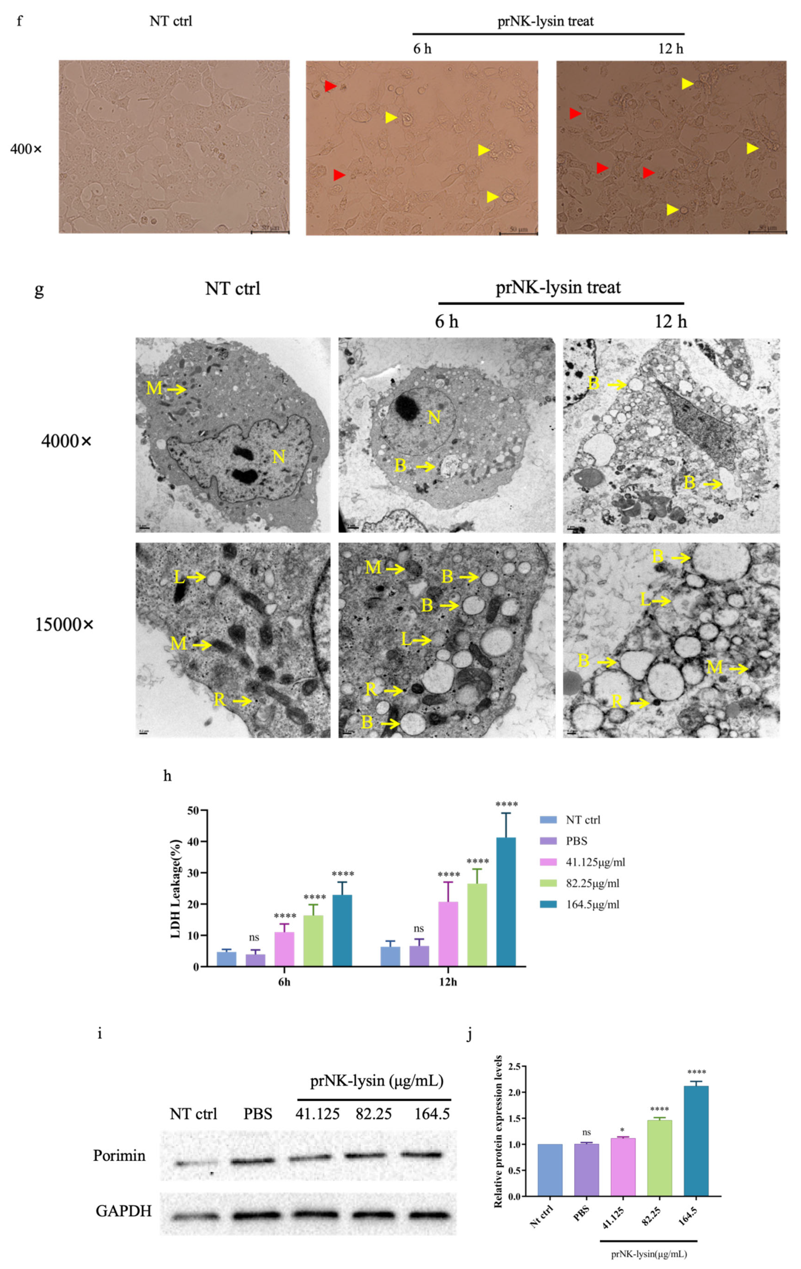 Preprints 137545 g002b