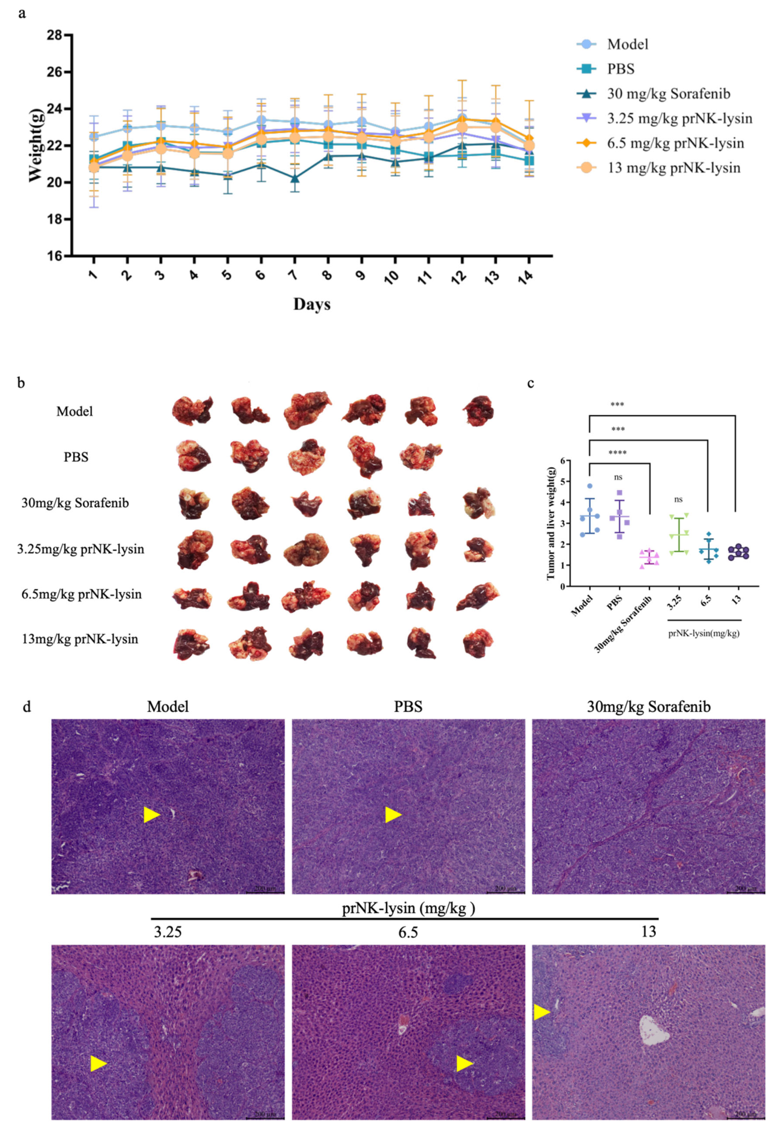 Preprints 137545 g004