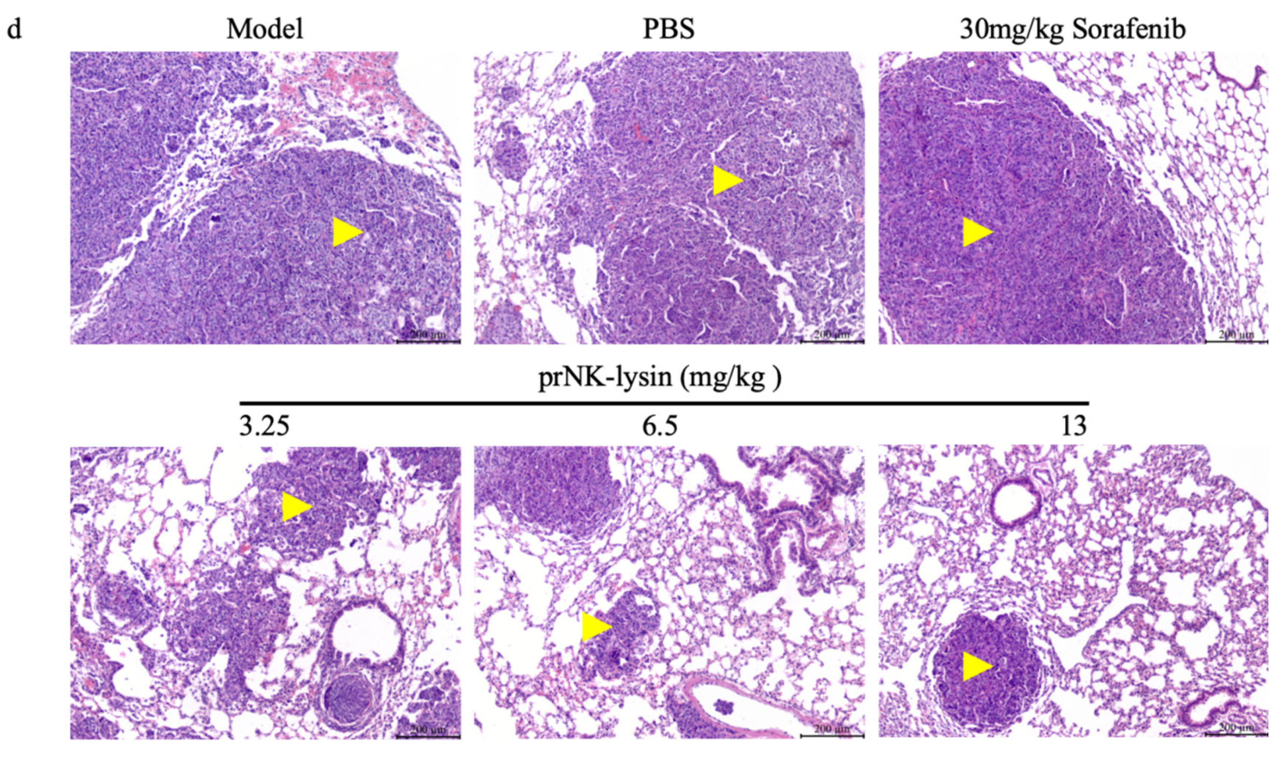 Preprints 137545 g005b