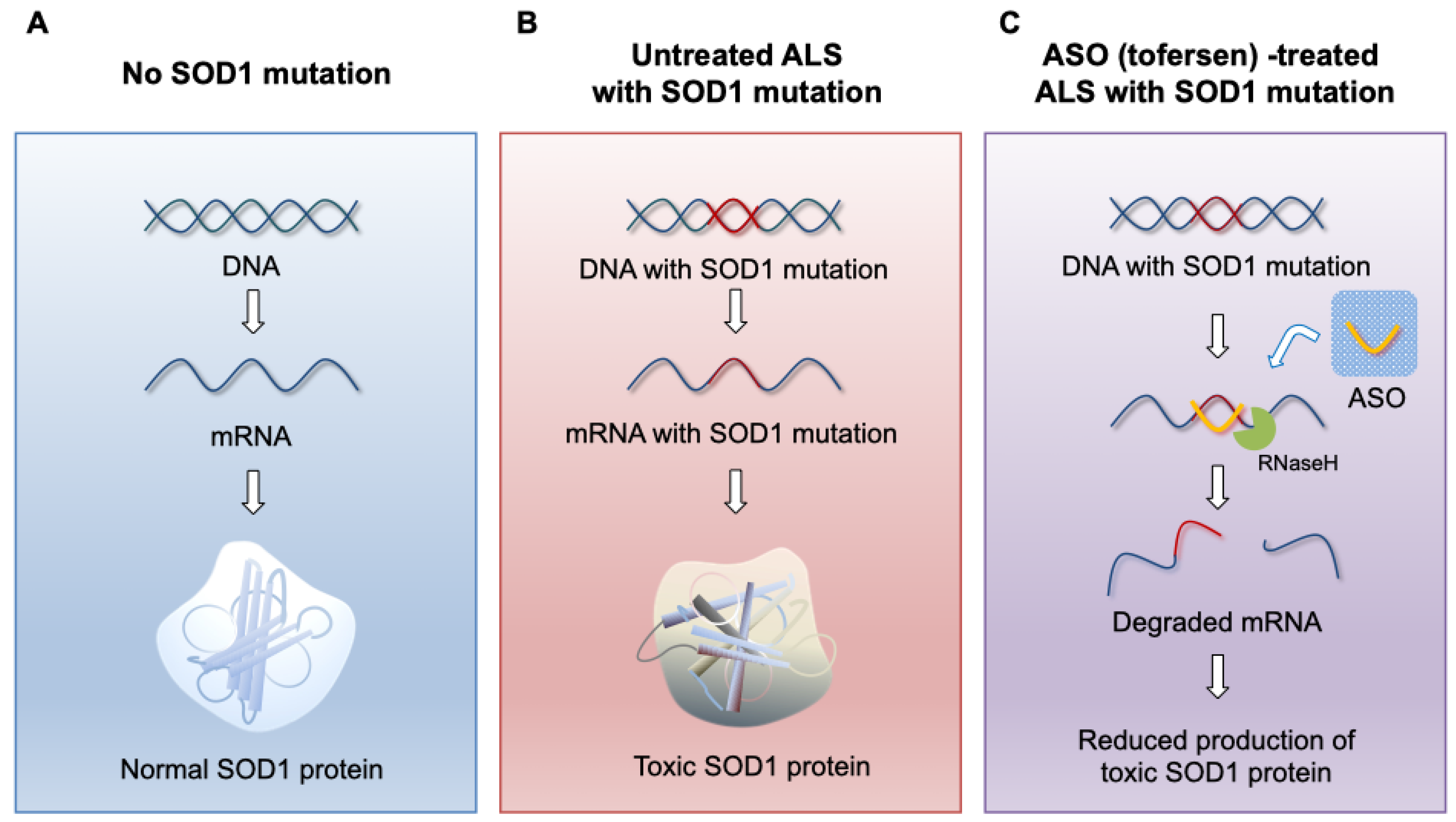 Preprints 119650 g001