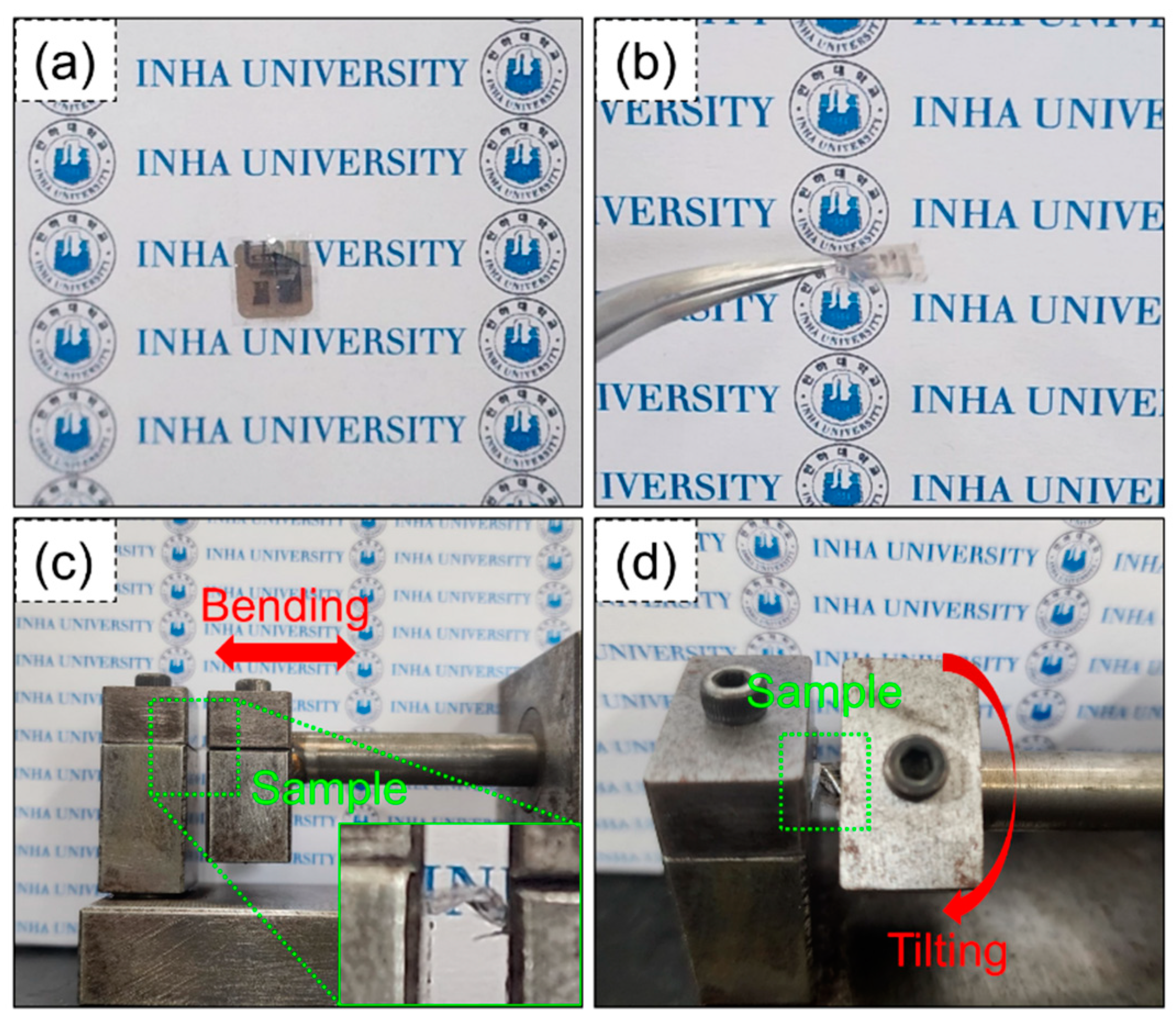 Preprints 99330 g005