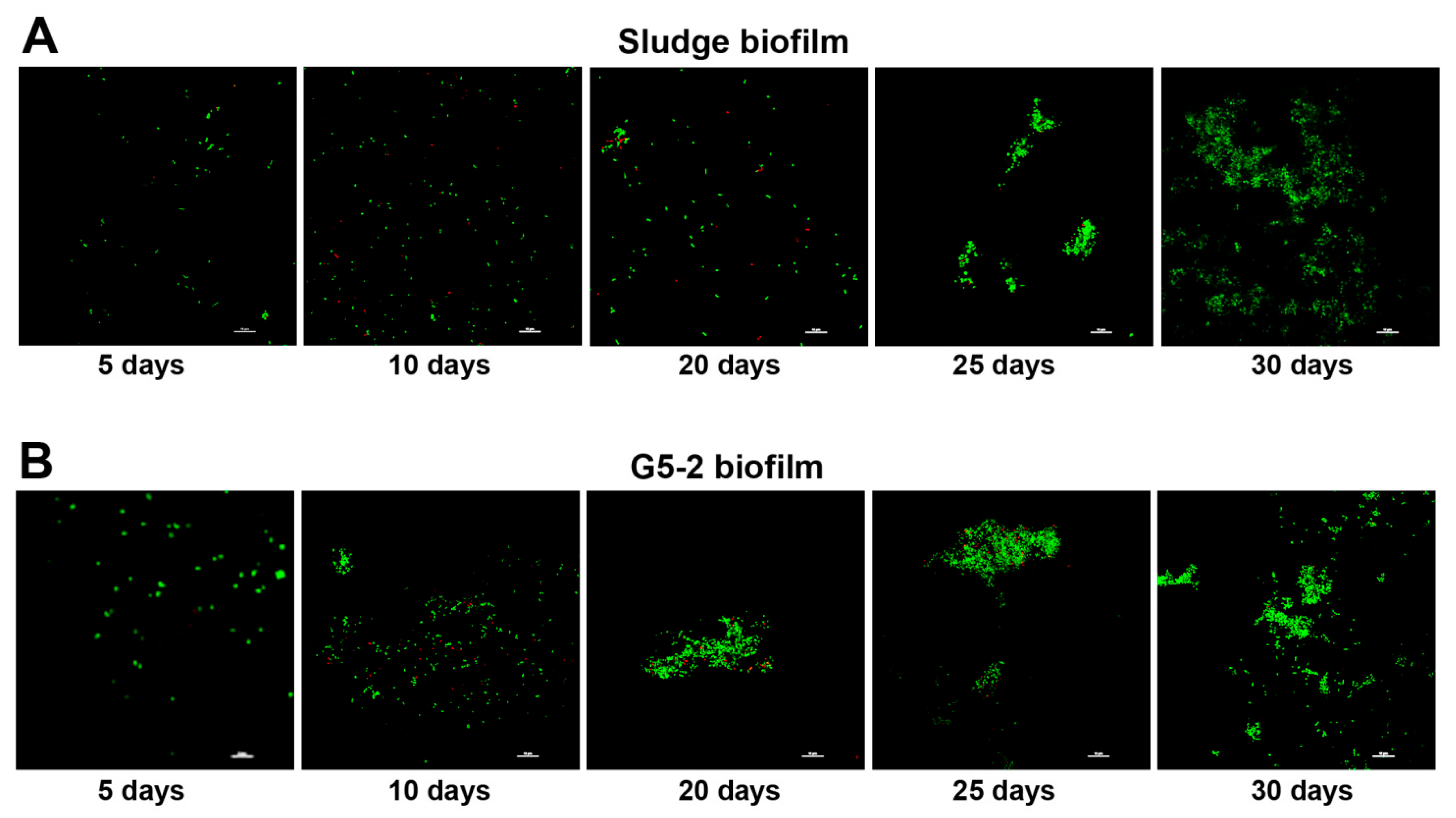 Preprints 118814 g001