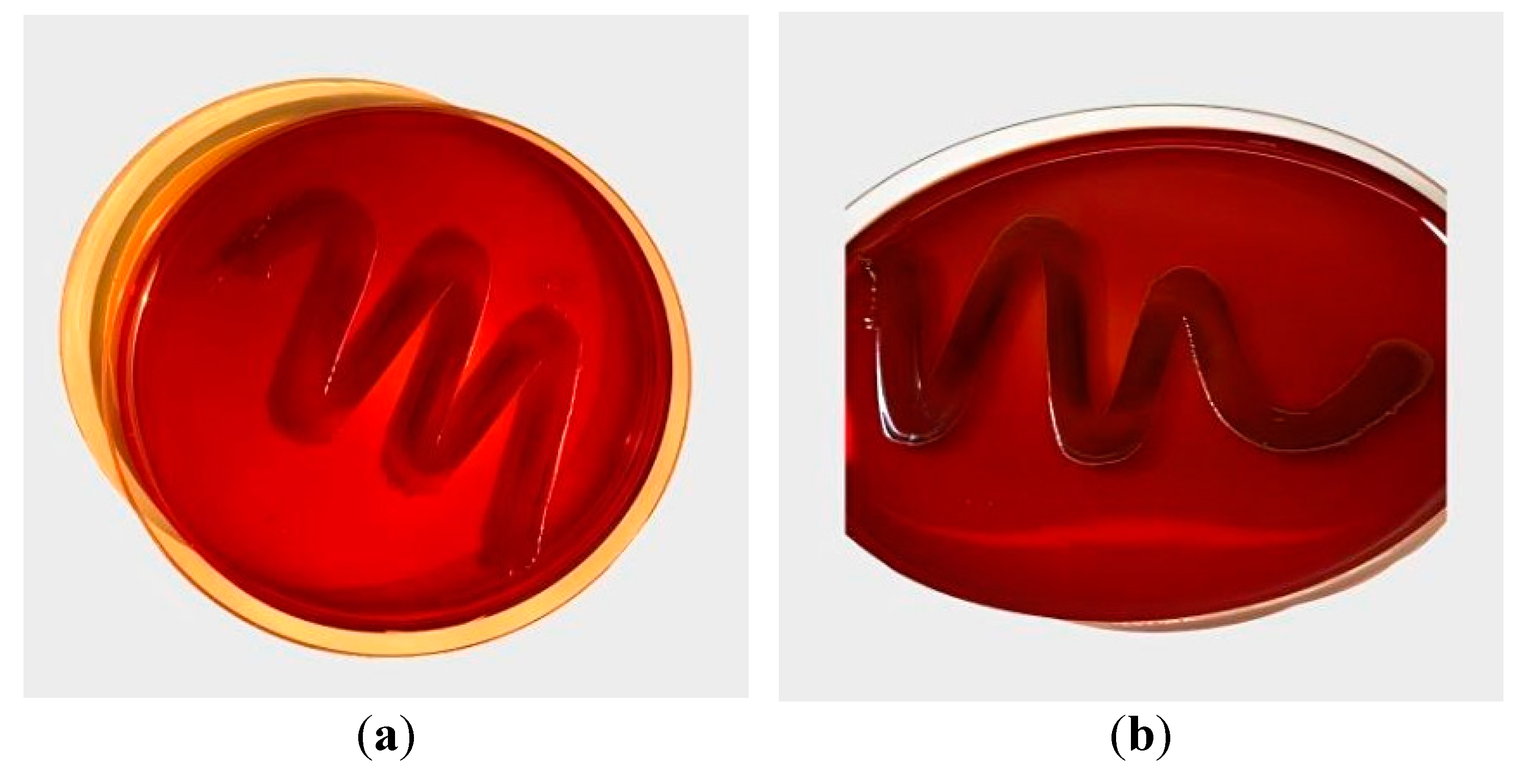 Preprints 82736 g002