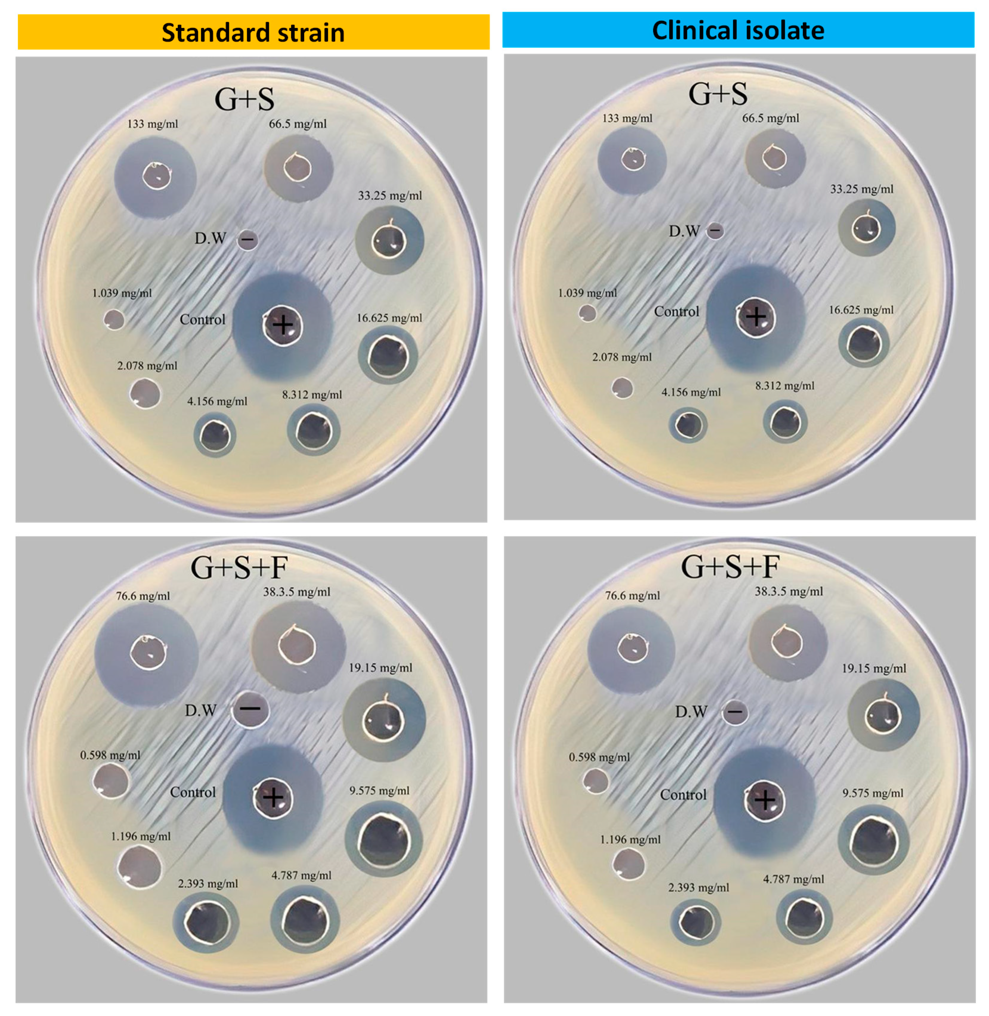 Preprints 82736 g003