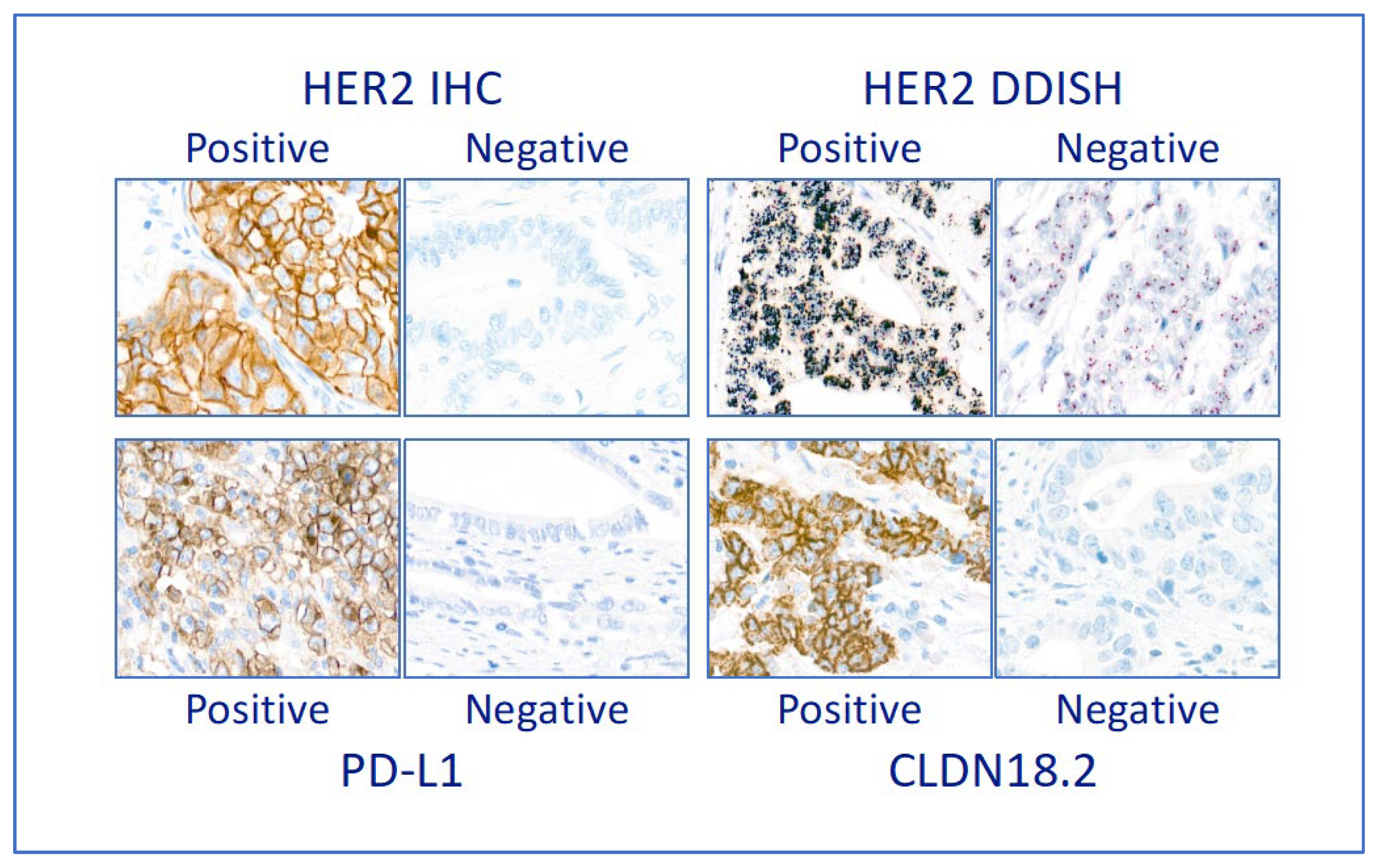 Preprints 76759 g002