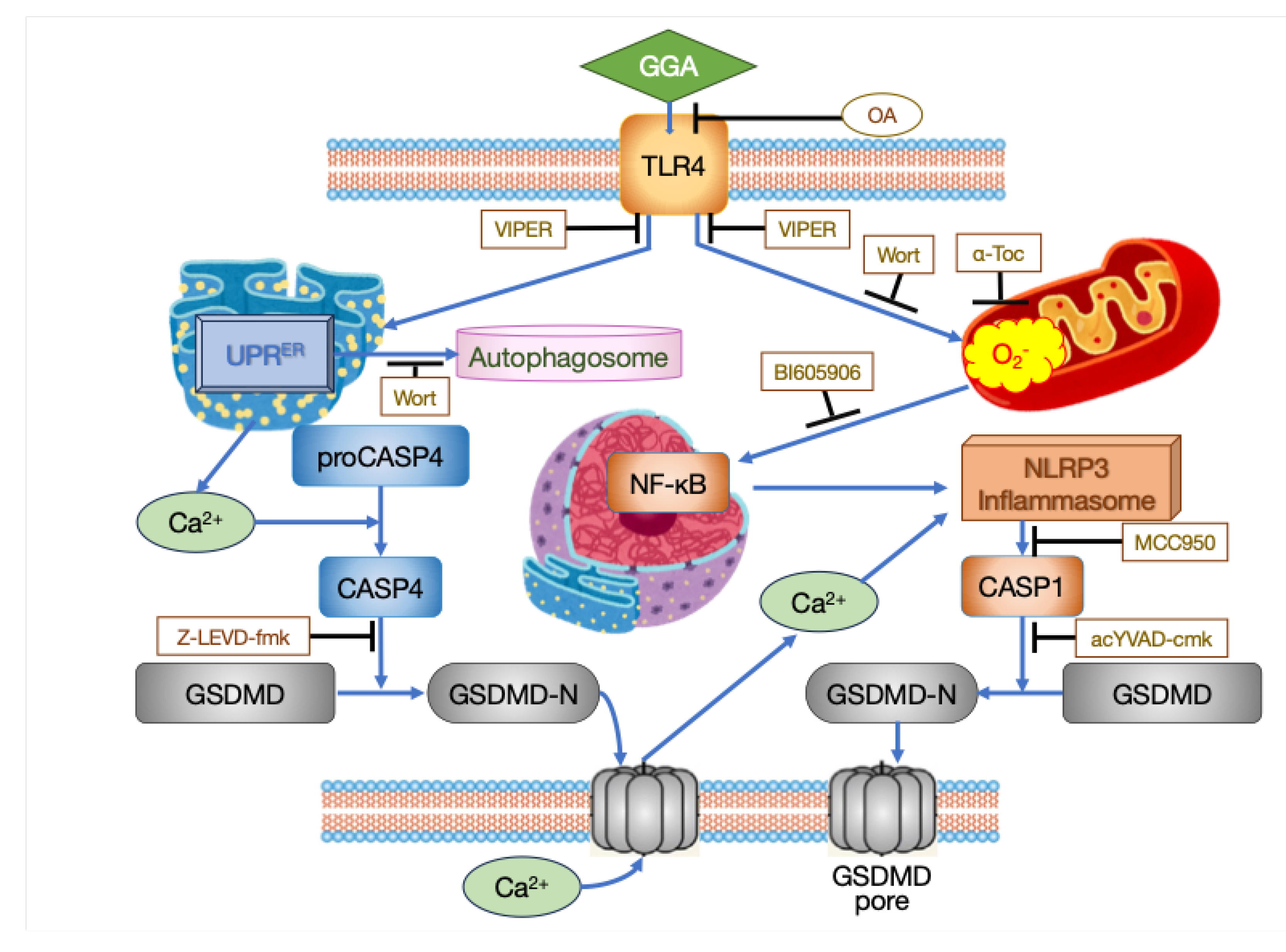 Preprints 103035 g001