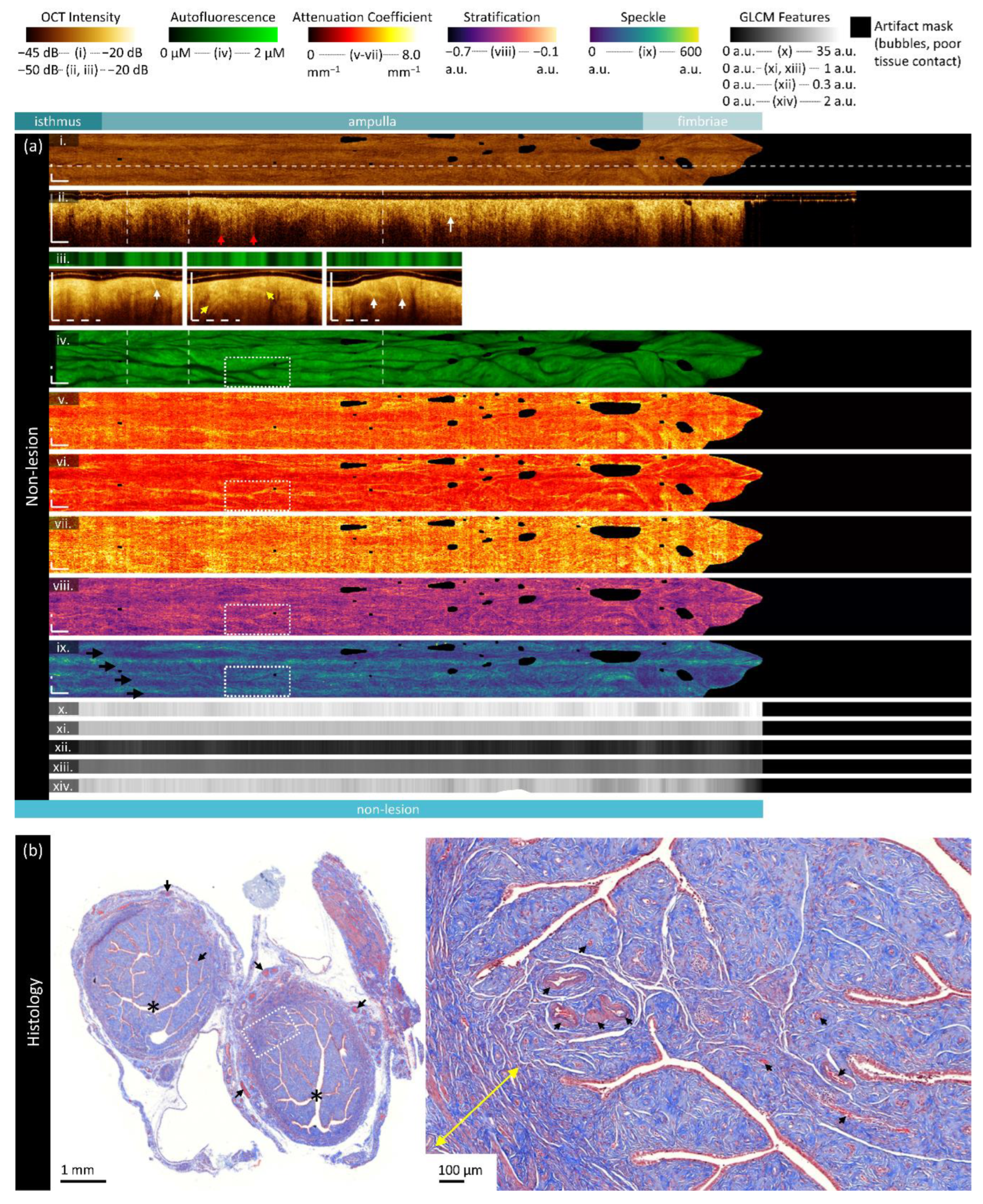 Preprints 117777 g004