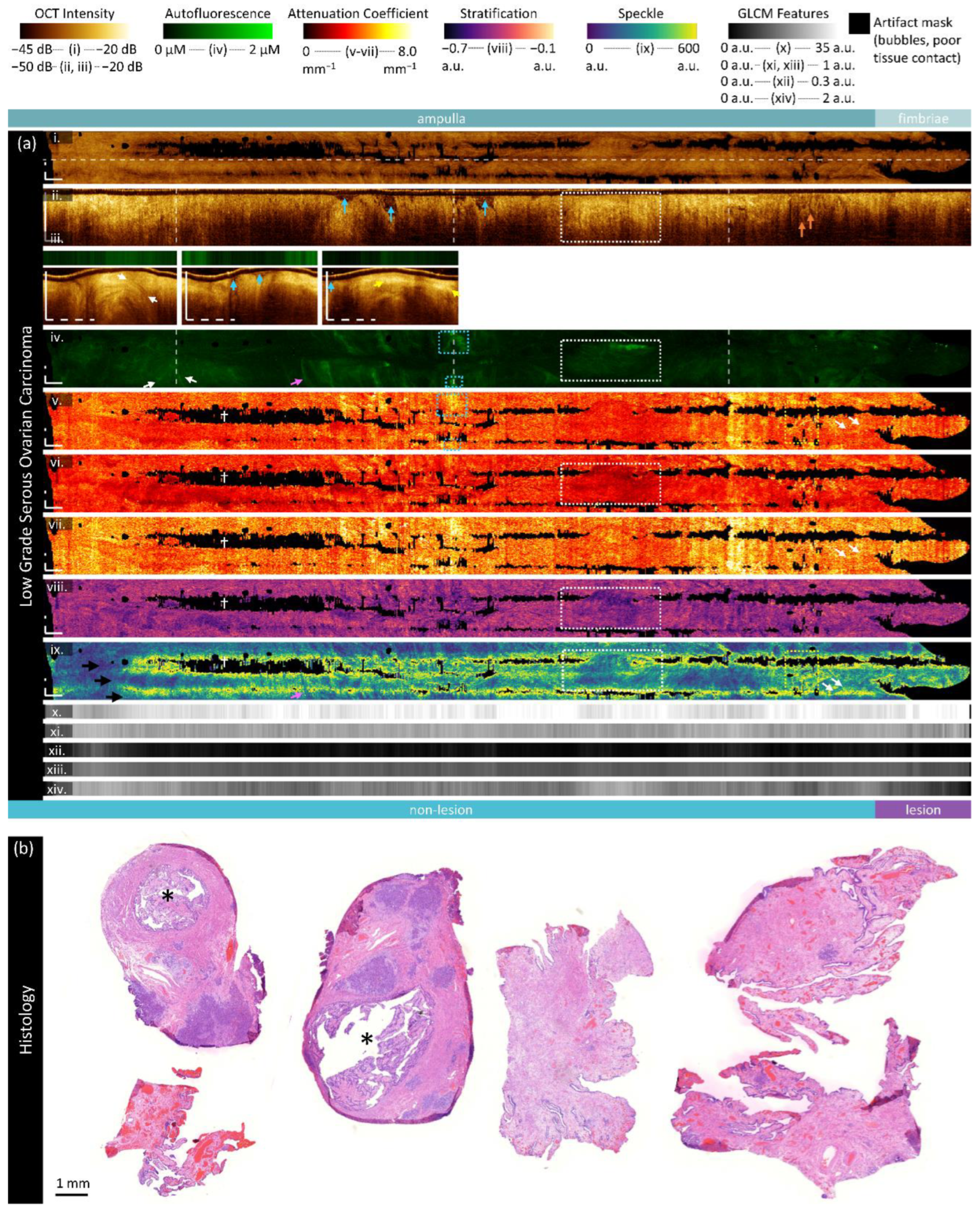 Preprints 117777 g005