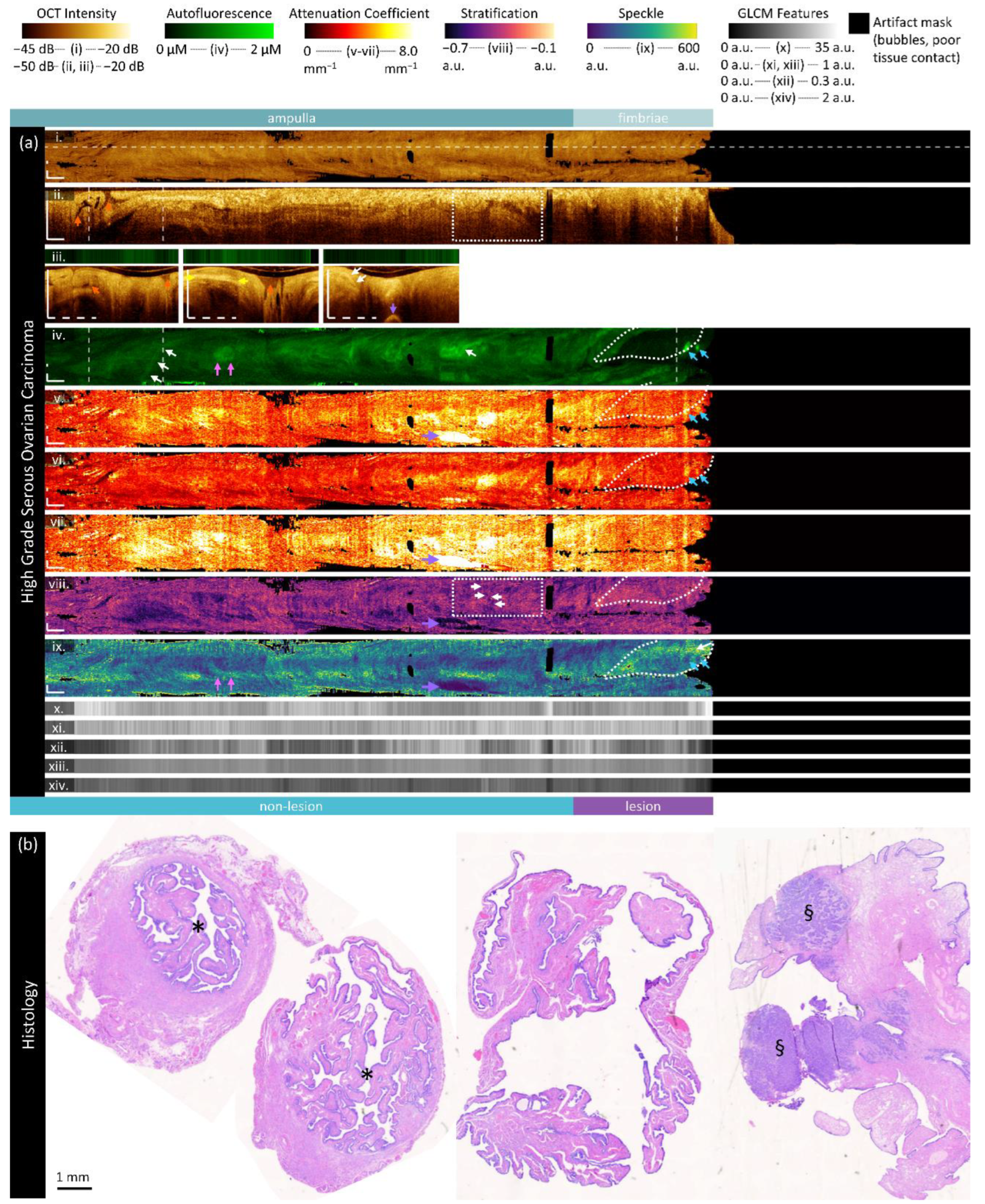 Preprints 117777 g006