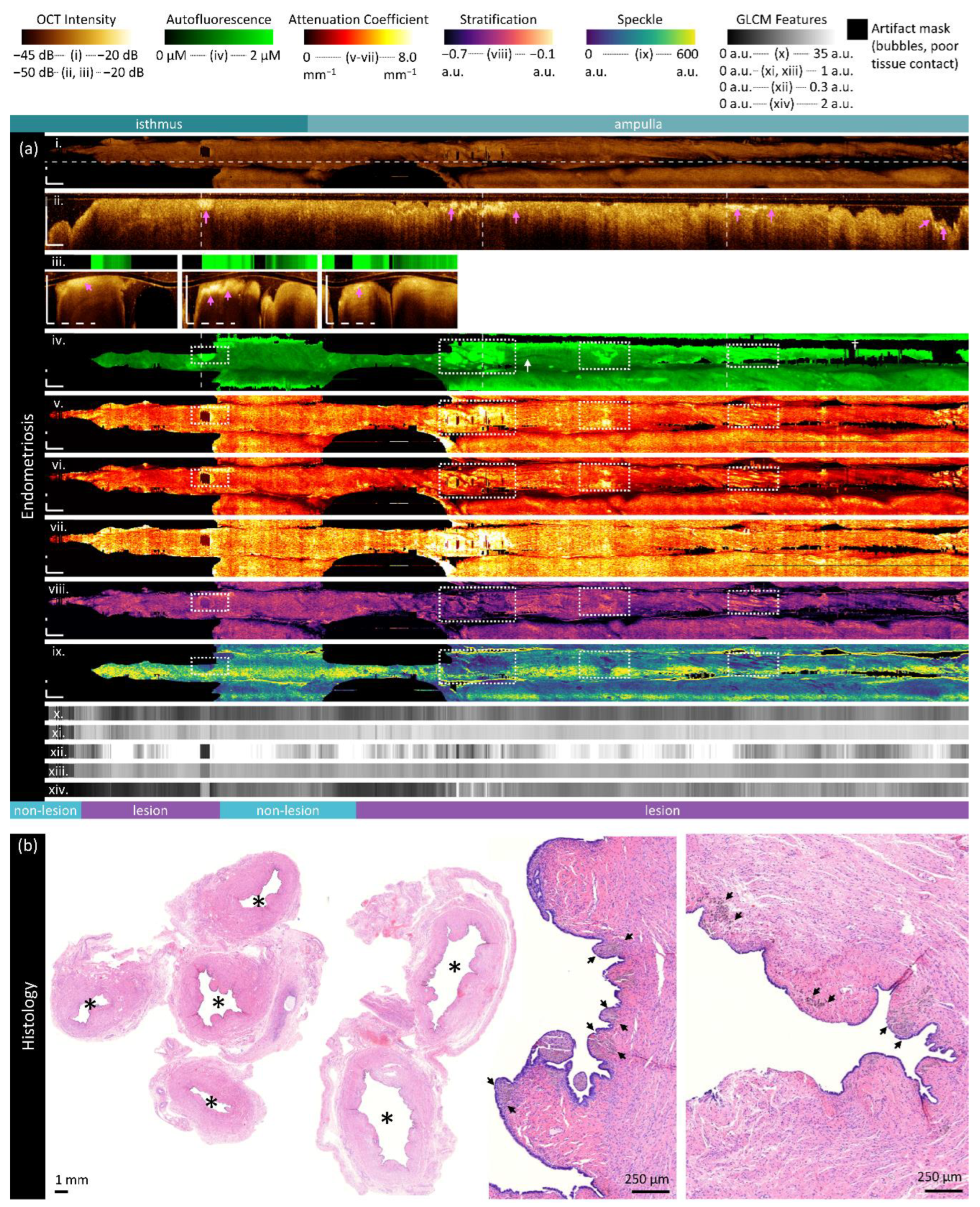 Preprints 117777 g007