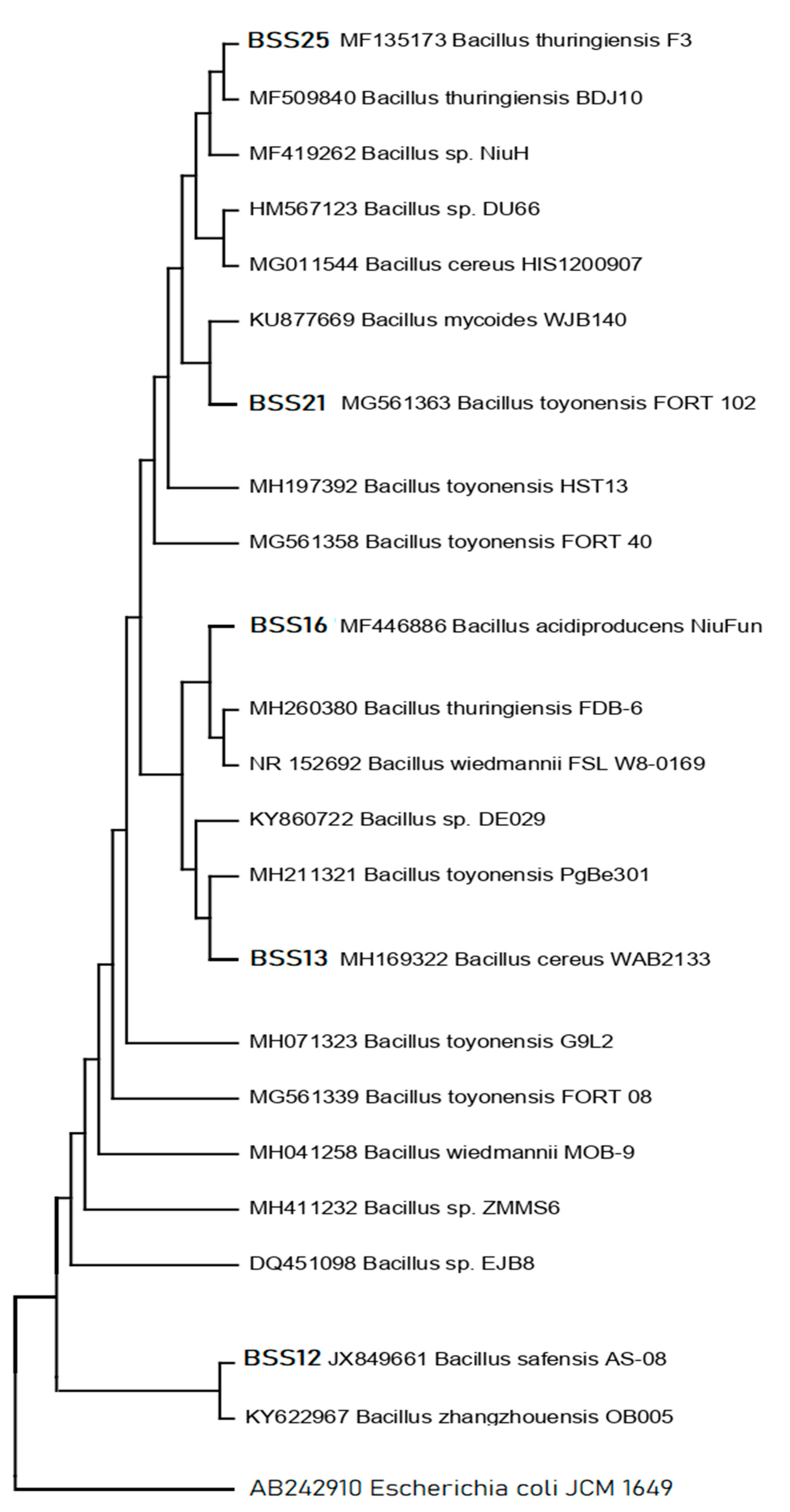 Preprints 87410 g003